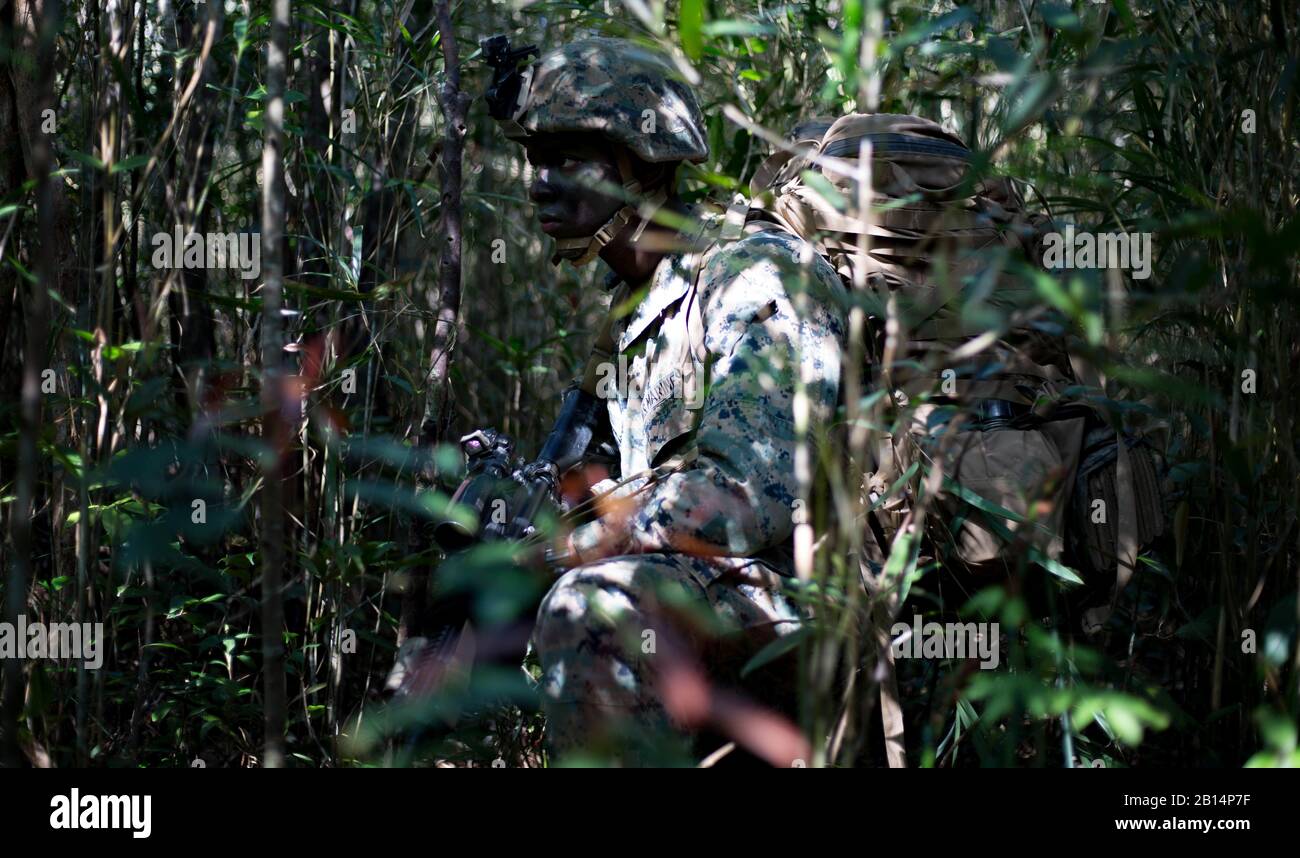 A U.S. Marine assigned to the 3rd Battalion, 6th Marine Regiment, attached to 3rd Marine Division, provides security during a patrol at the Jungle Warfare Training Center (JWTC), Camp Gonsalves, Okinawa, Japan, March 12, 2019.  While at JWTC, the Marines conducted a force-on-force field exercise designed to simulate combat in a jungle environment. (U.S. Marine Corps photo by 2nd Lt. Gerard Callan) Stock Photo