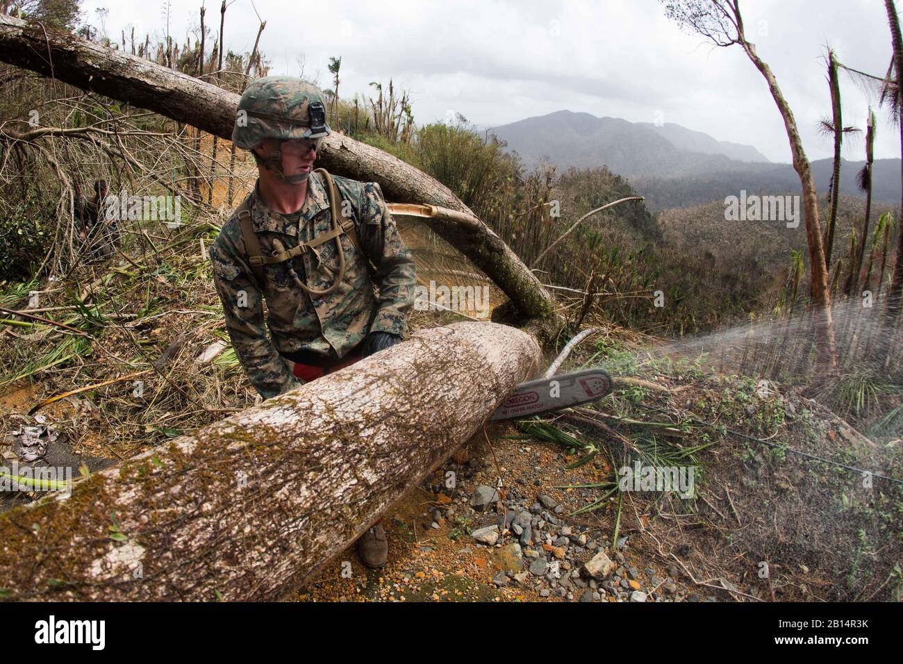 A U.S. Marine with Battalion Landing Team 2nd Battalion, 6th Marine Regiment, 26th Marine Expeditionary Unit (MEU), uses a chainsaw to cut a tree blocking a road as part of Hurricane Maria relief efforts in Ceiba, Puerto Rico, Sept. 27, 2017. The 26th MEU is supporting the Federal Emergency Management Agency, the lead federal agency, and local authorities in Puerto Rico with the combined goal of protecting the lives and safety of those in affected areas. (U.S. Marine Corps photo by Lance Cpl. Alexis C. Schneider) Stock Photo