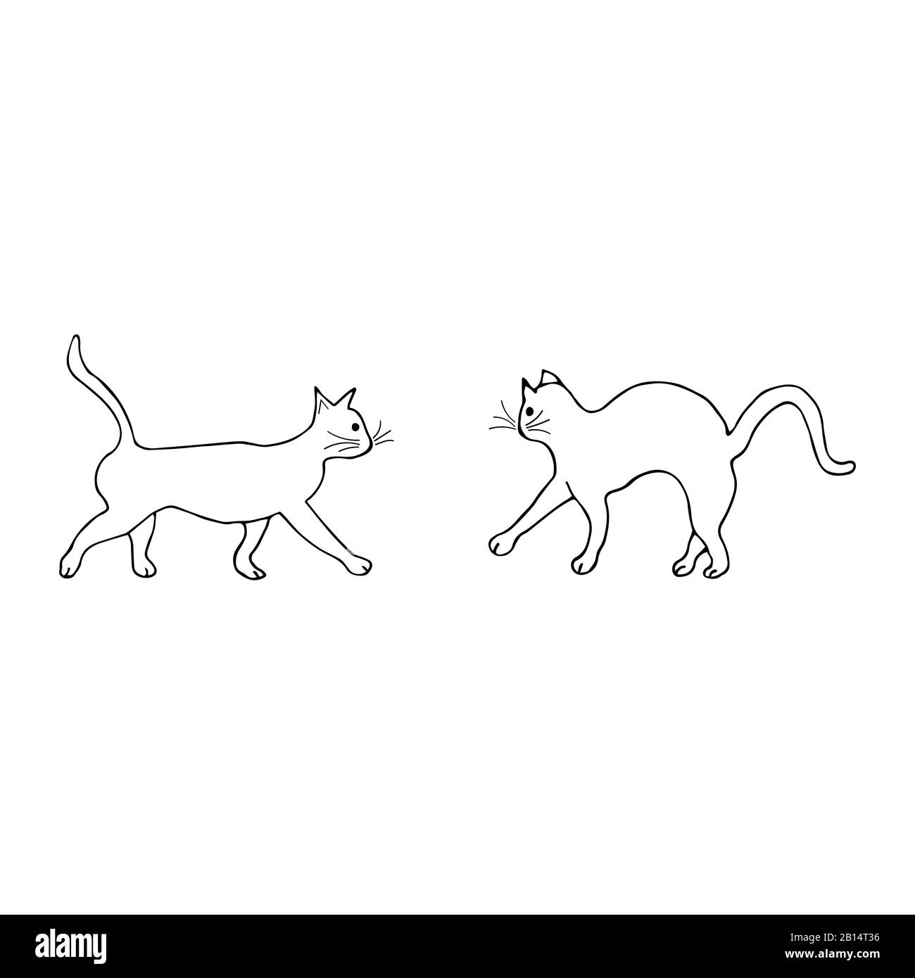 Two cats go towards each other, one arched its back and wary. Doodle black and white illustration on white background. Cute animals Stock Vector