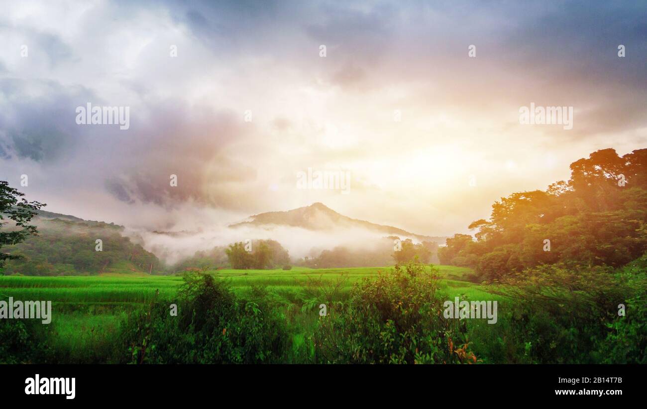 landscape of green terraced rice field with beautiful fog around mountain background in the morning with wonderful golden light Stock Photo
