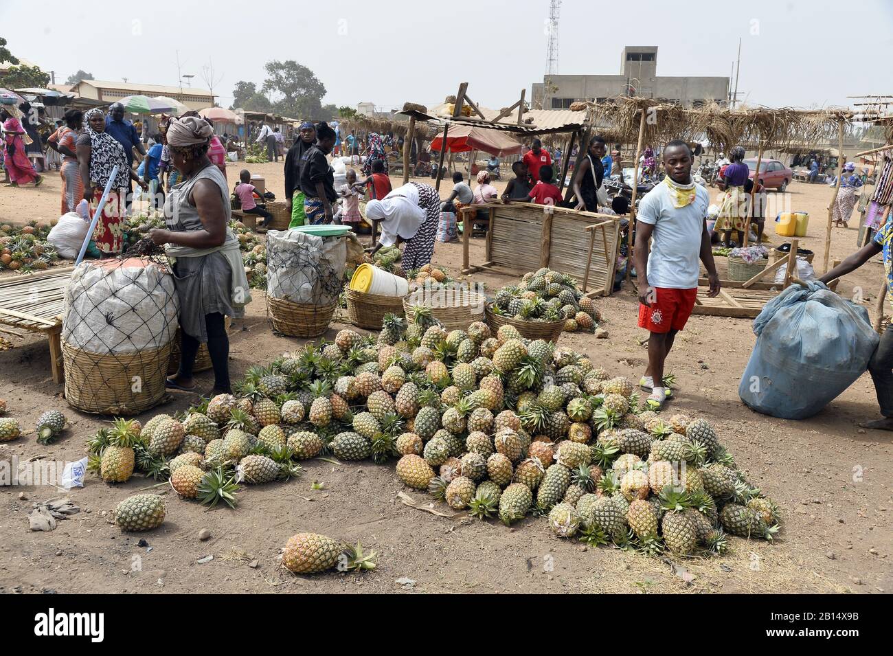 Pineapples on Food Market of Kpalimé Togo West Africa Stock Photo Alamy