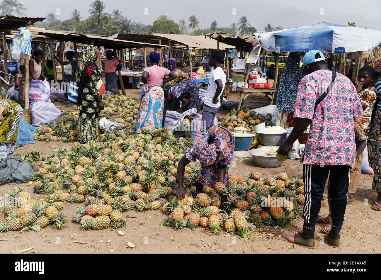 Pineapples on Food Market of Kpalimé Togo West Africa Stock Photo