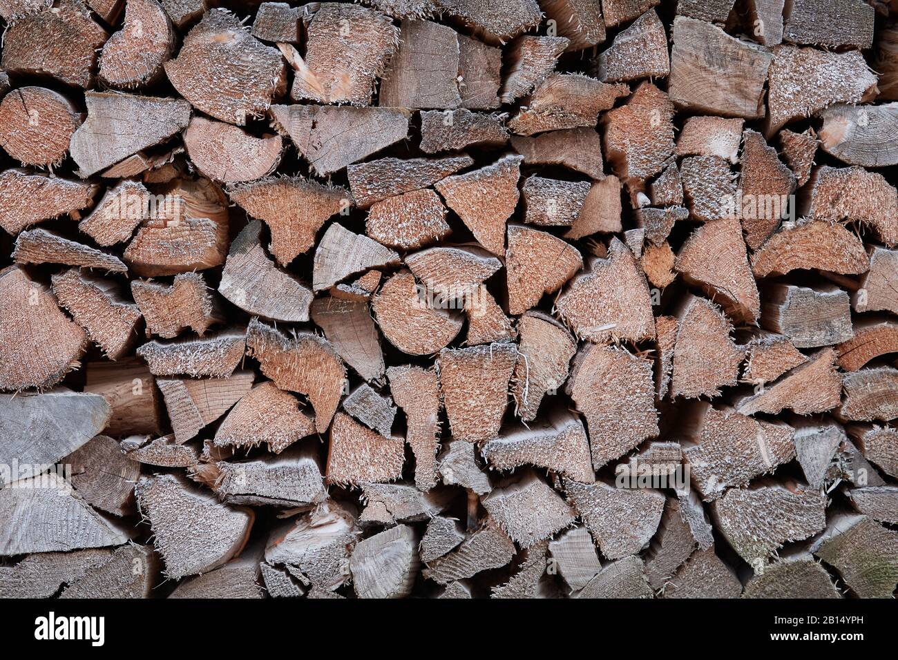 Details of the logs from a woodpile background with different moisture showing colors of wood ranging from grey to warm brown Stock Photo