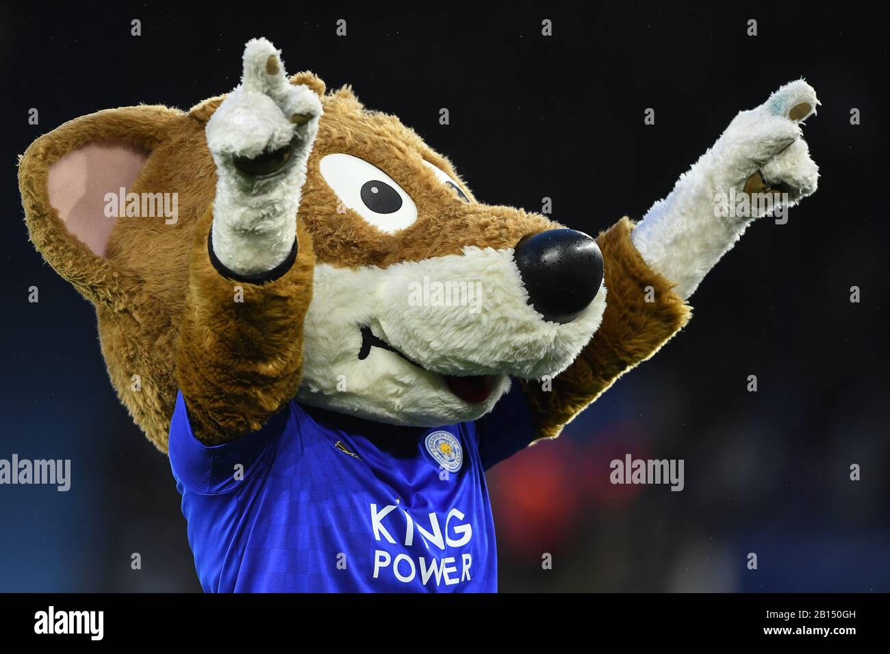 LEICESTER, ENGLAND - FEBRUARY 22ND Leicester City mascot, Filbert fox during the Premier League match between Leicester City and Manchester City at the King Power Stadium, Leicester on Saturday 22nd February 2020. (Credit: Jon Hobley | MI News) Photograph may only be used for newspaper and/or magazine editorial purposes, license required for commercial use Credit: MI News & Sport /Alamy Live News Stock Photo