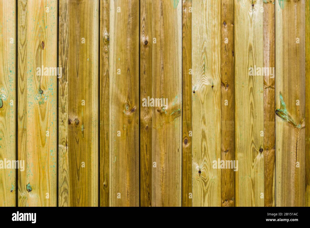 wooden palisade pattern with green mold, wood problems, Garden fence