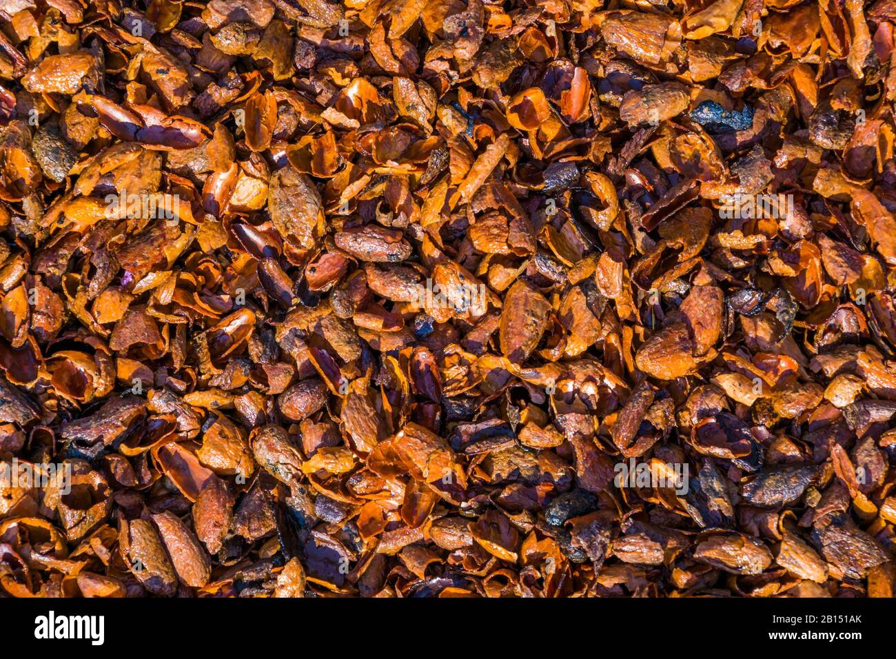 Cocoa shell mulch hi-res stock photography and images - Alamy