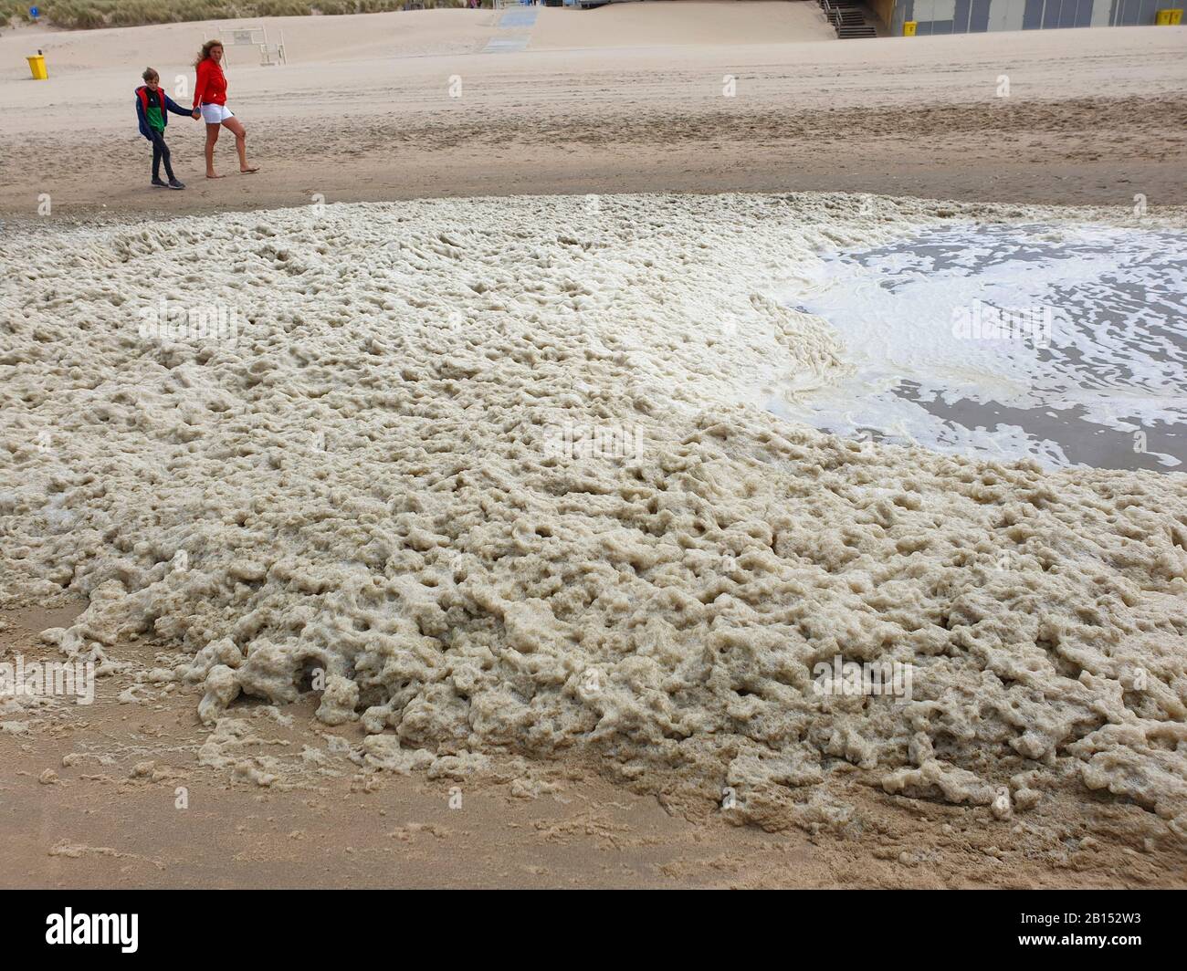 foam on the North Sea beach, Netherlands Stock Photo