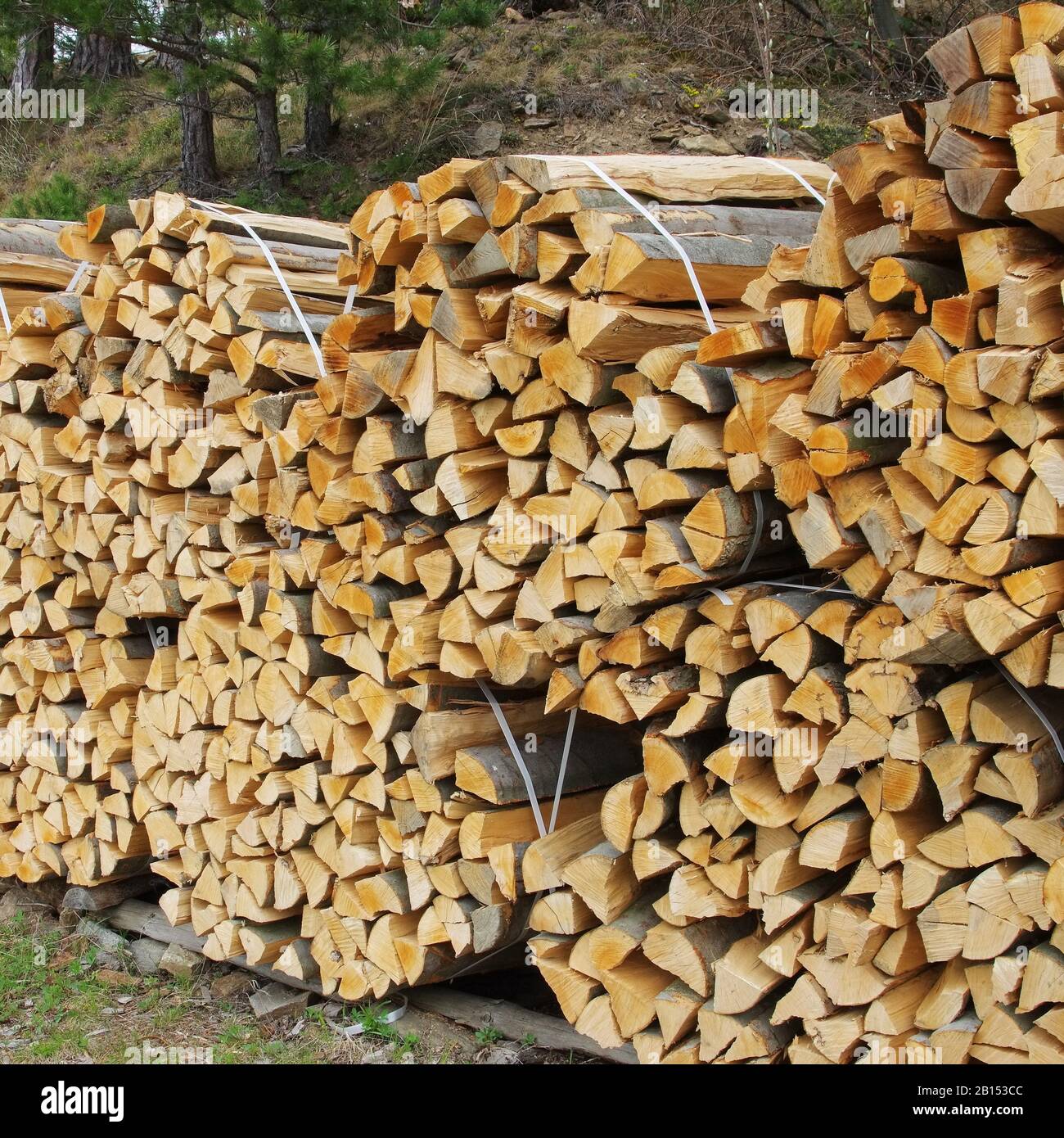 Holzstapel - stack of wood 47 Stock Photo