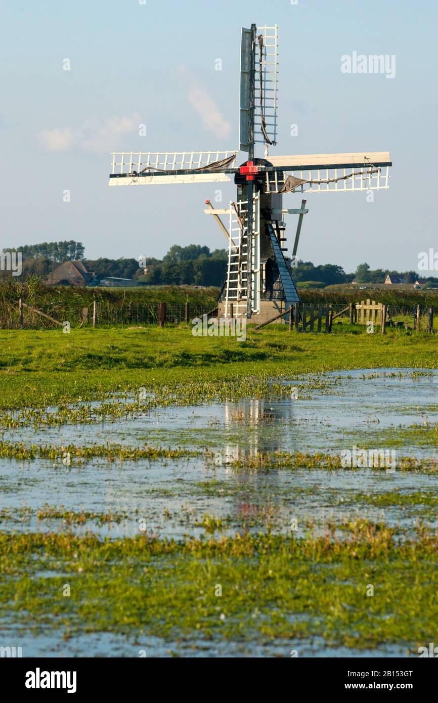 Mill De Kemphaan at Polder Waal en Burg, Netherlands, Texel, De Waal Stock Photo