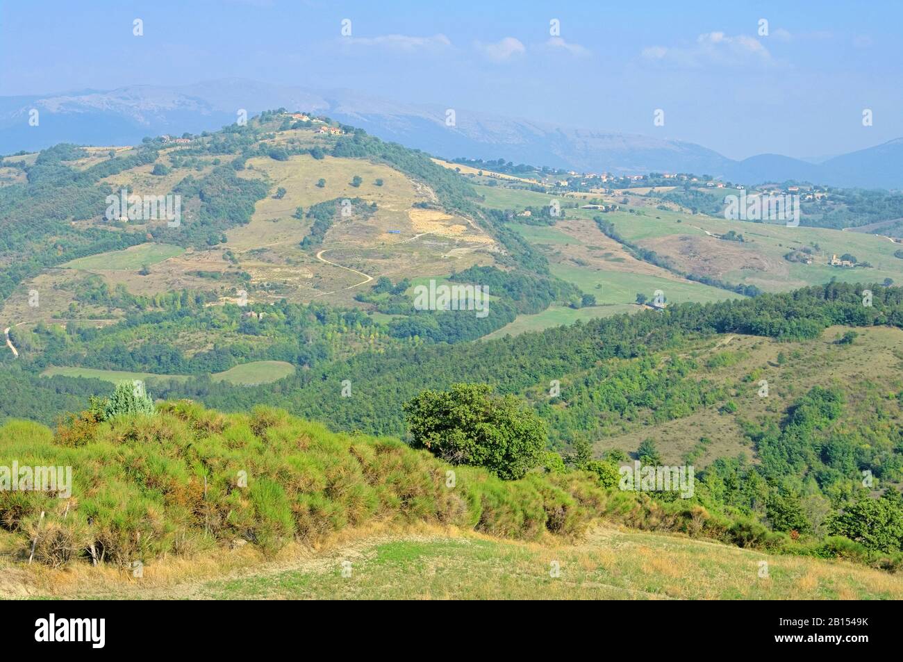 Toskana wald hi-res stock photography and images - Alamy