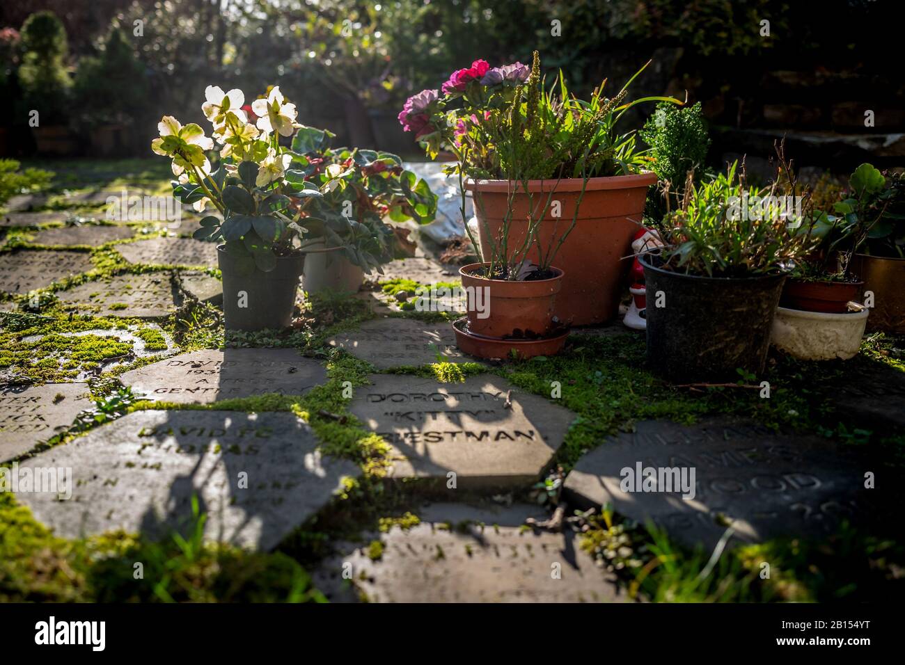 The churchyard at All Saints church in Crowborough UK Stock Photo - Alamy