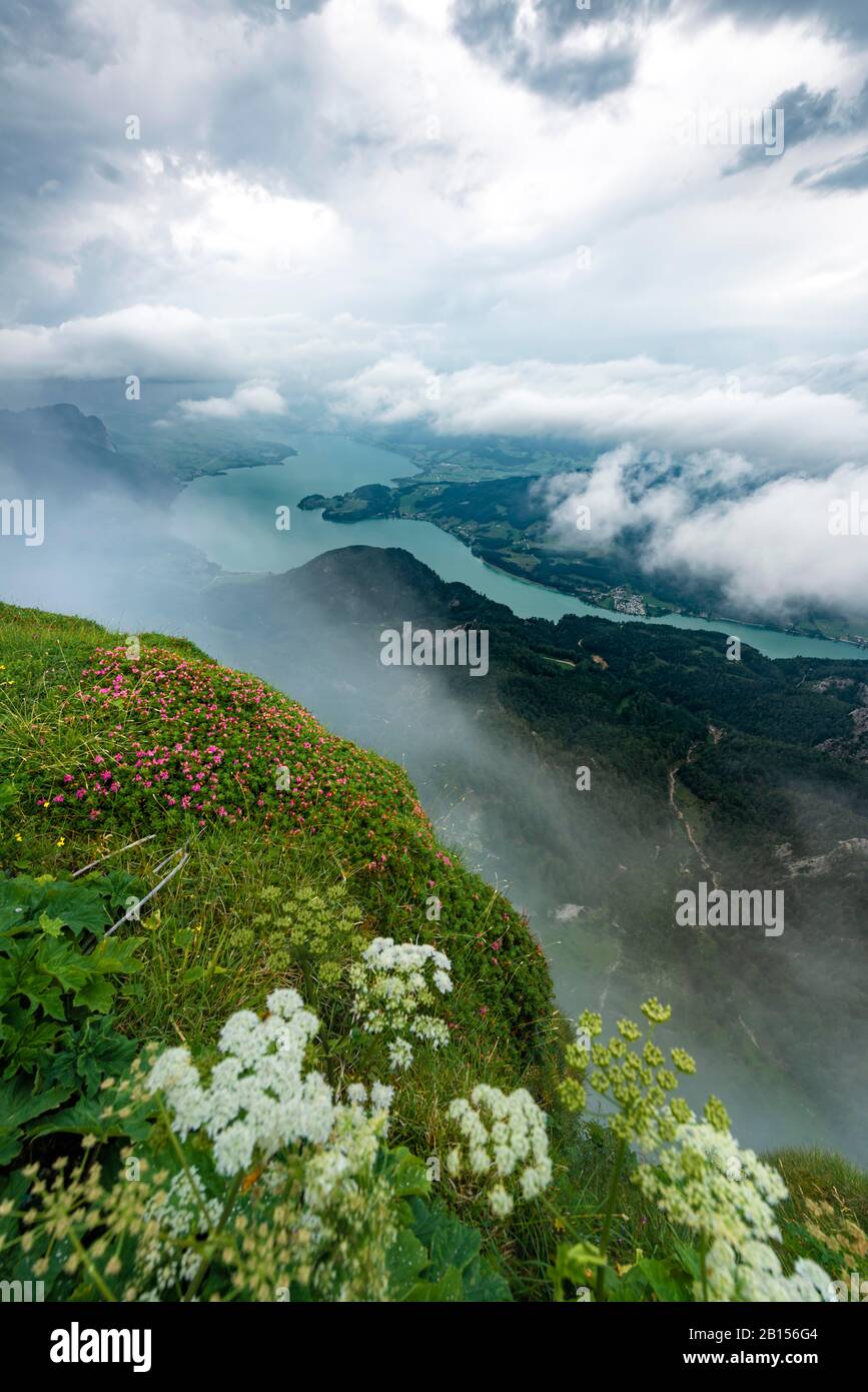 Cloud-covered lake, view of the Mondsee from the summit of the Schafberg, Salzkammergut, Salzburg, Austria Stock Photo