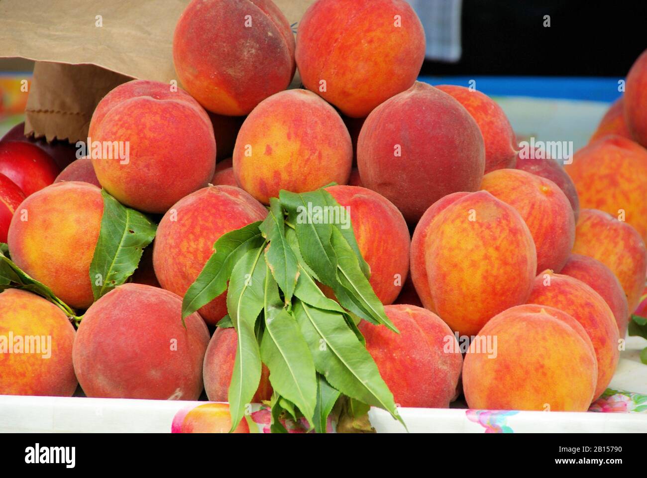 Pfirsich - peach 06 Stock Photo