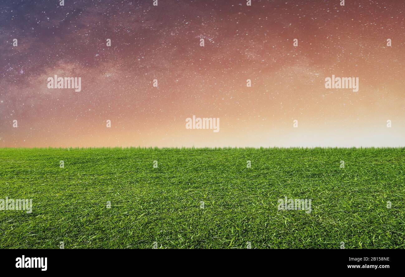 Starry sky with sunlight over green grass Stock Photo