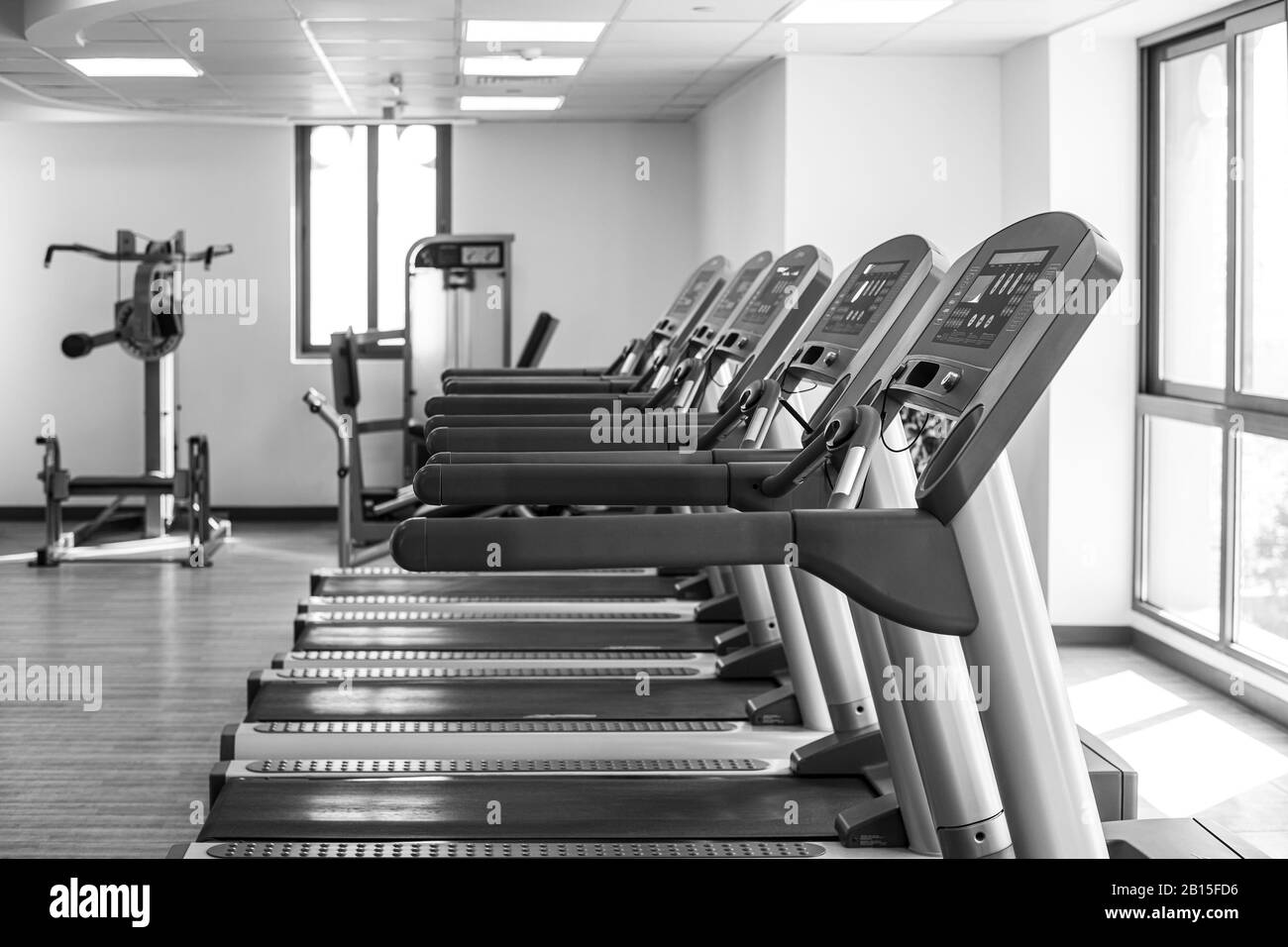 A number of treadmills in the gym Stock Photo Alamy