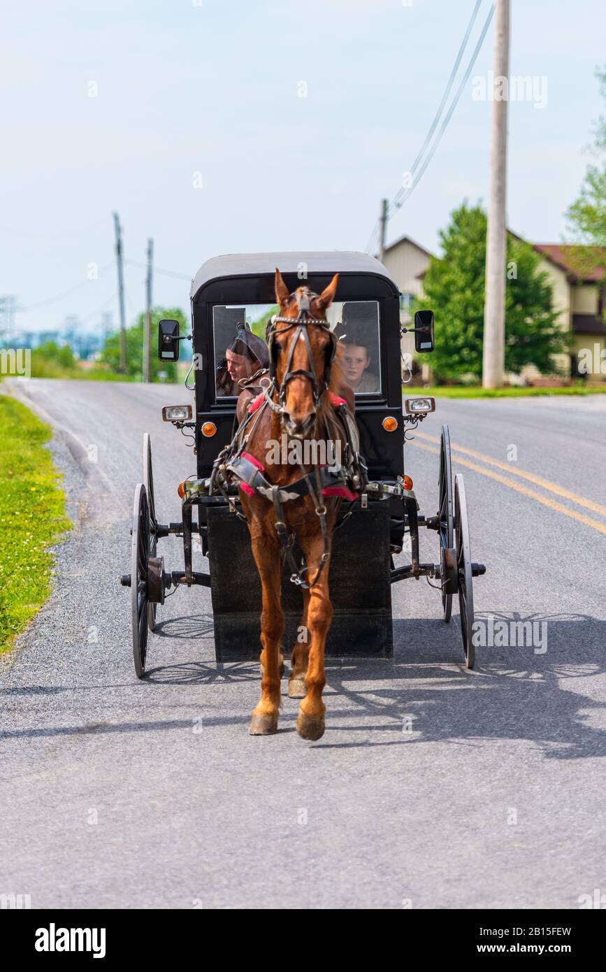 Amish Buggy carrying a woman and daughters in Pennsylvania USA Stock Photo