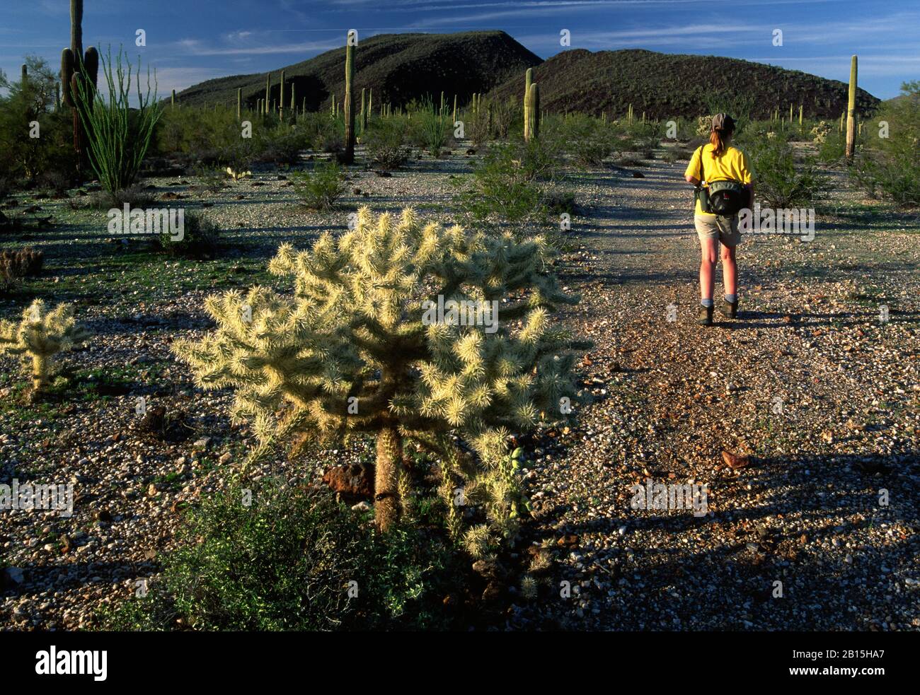 Lava Flow Trail, Table Top Wilderness, Sonoran Desert National Monument