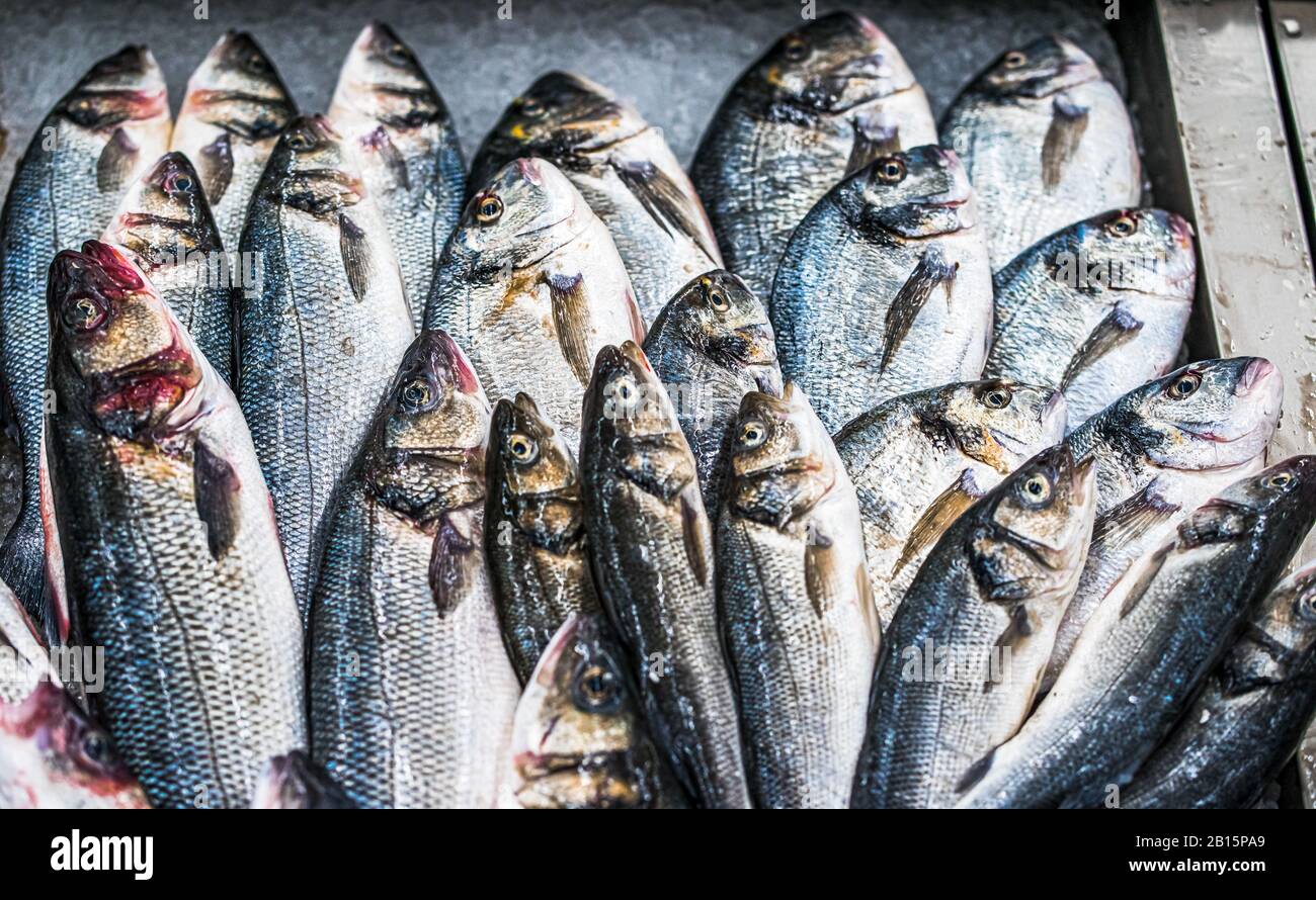 View on Fresh fish on ice on market in Oporto, Portugal Stock Photo