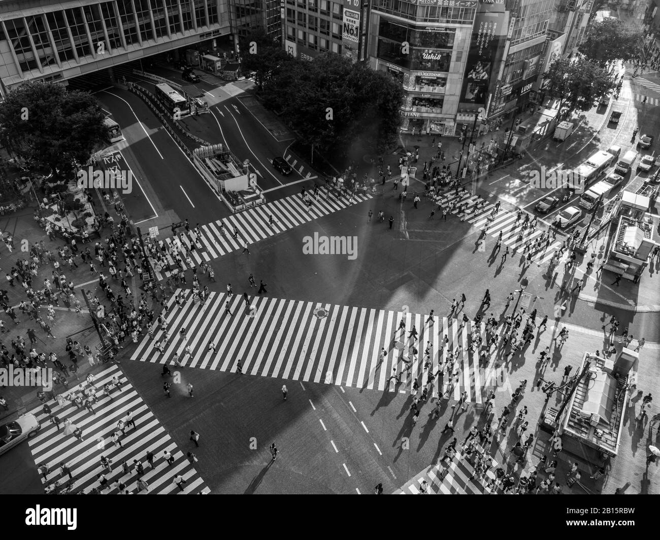 Shibuya, Japan - 23 9 19: People Crossing Shibuya Crossing in the evening with the full crossing in view Stock Photo