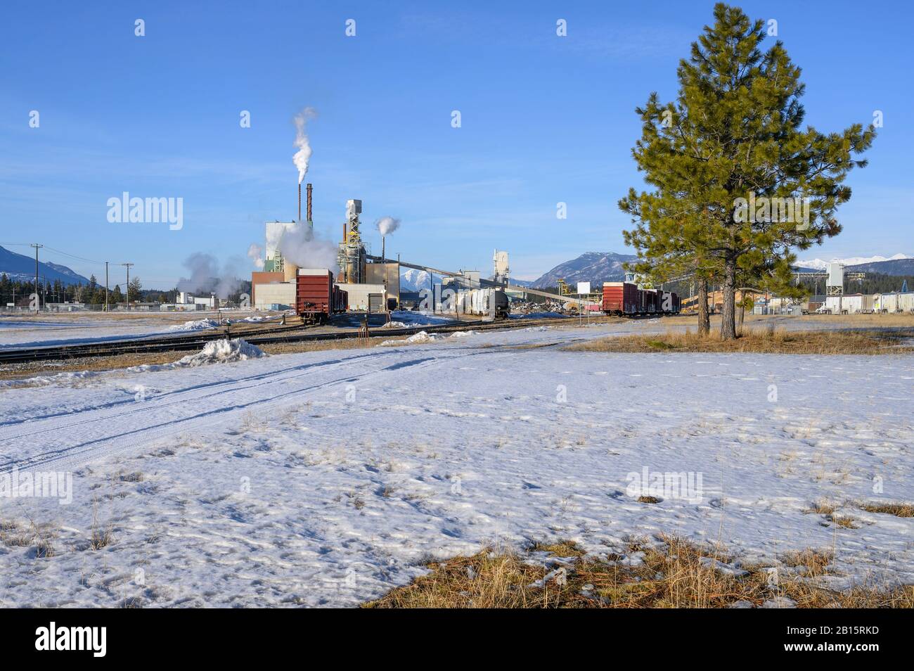 Wood Pulp Mill High Resolution Stock Photography and Images Alamy