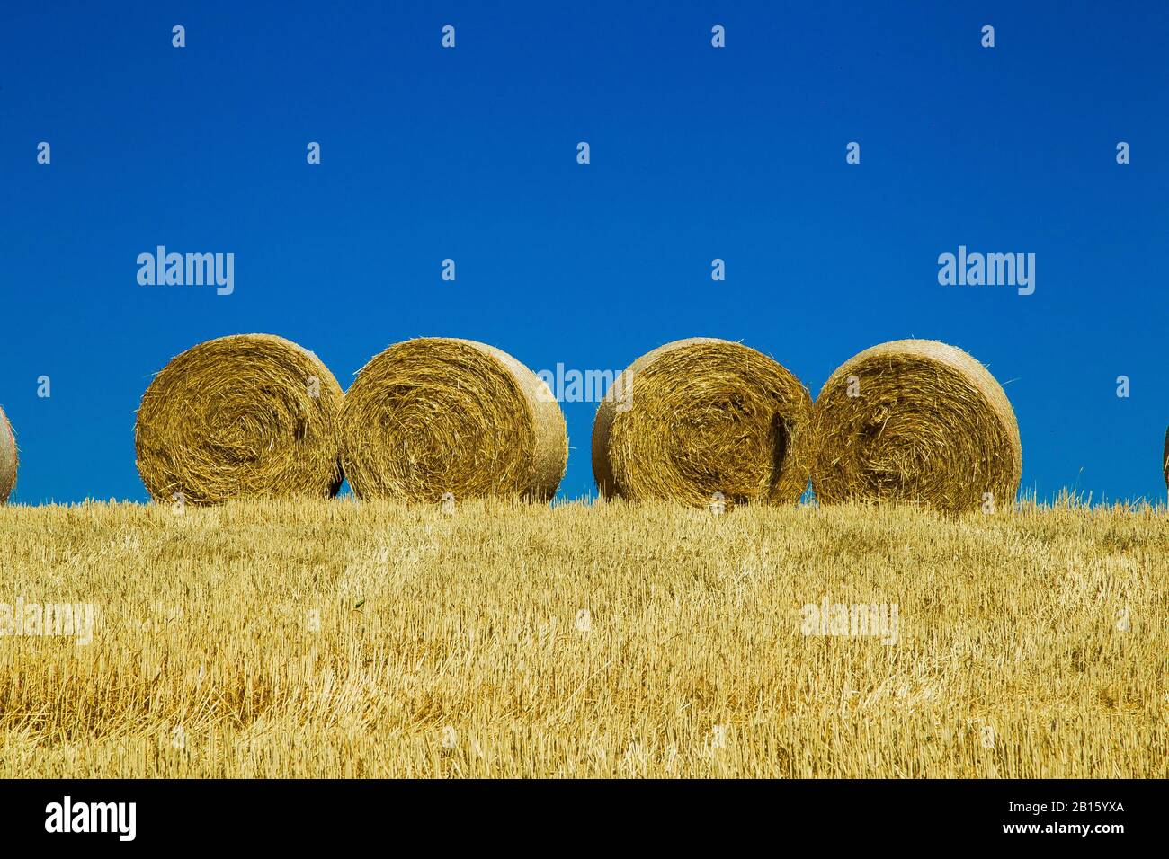 Balle di paglia fotografia stock. Immagine di estate, germany - 1037520