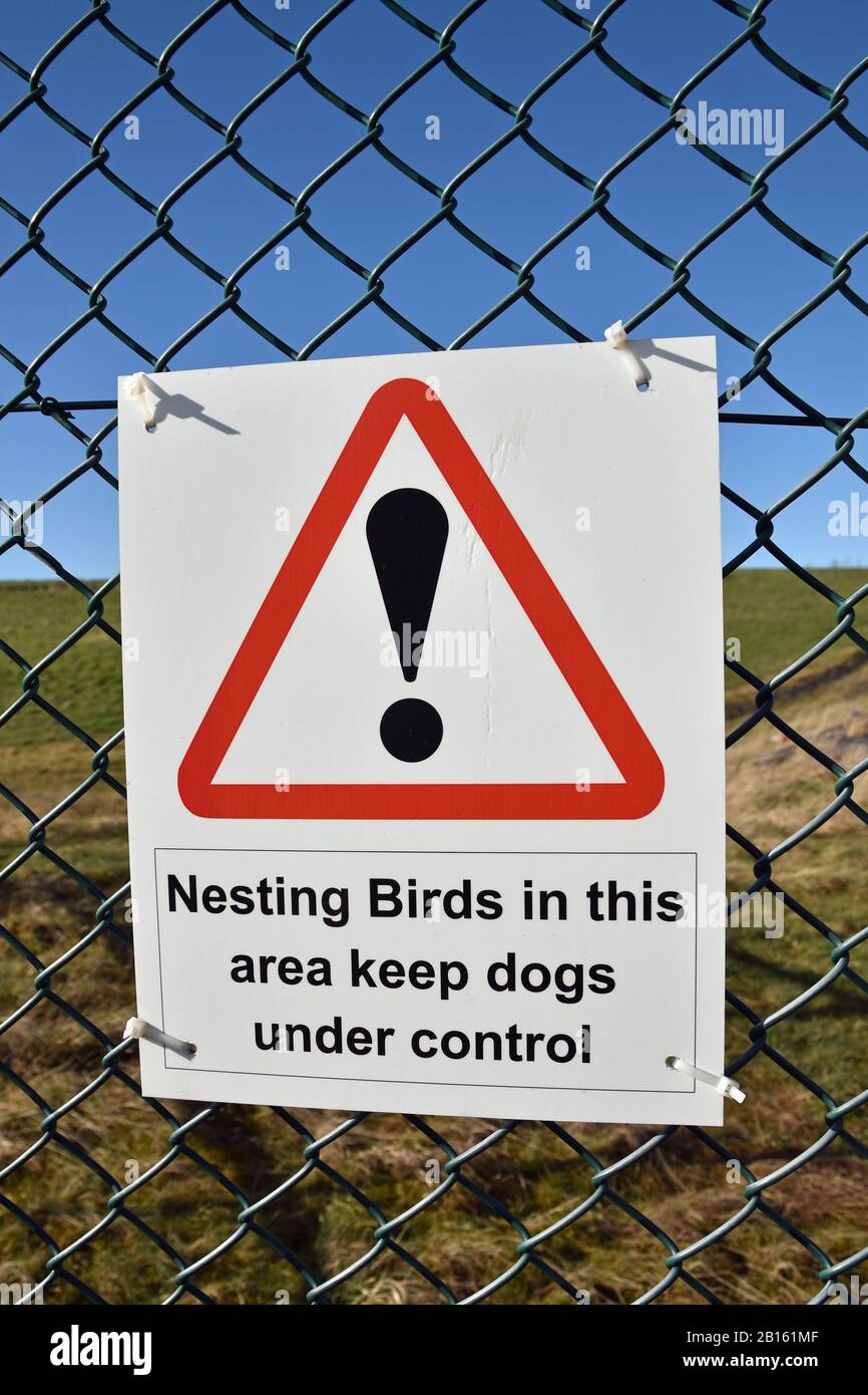 Nesting birds warning sign High Resolution Stock Photography and Images