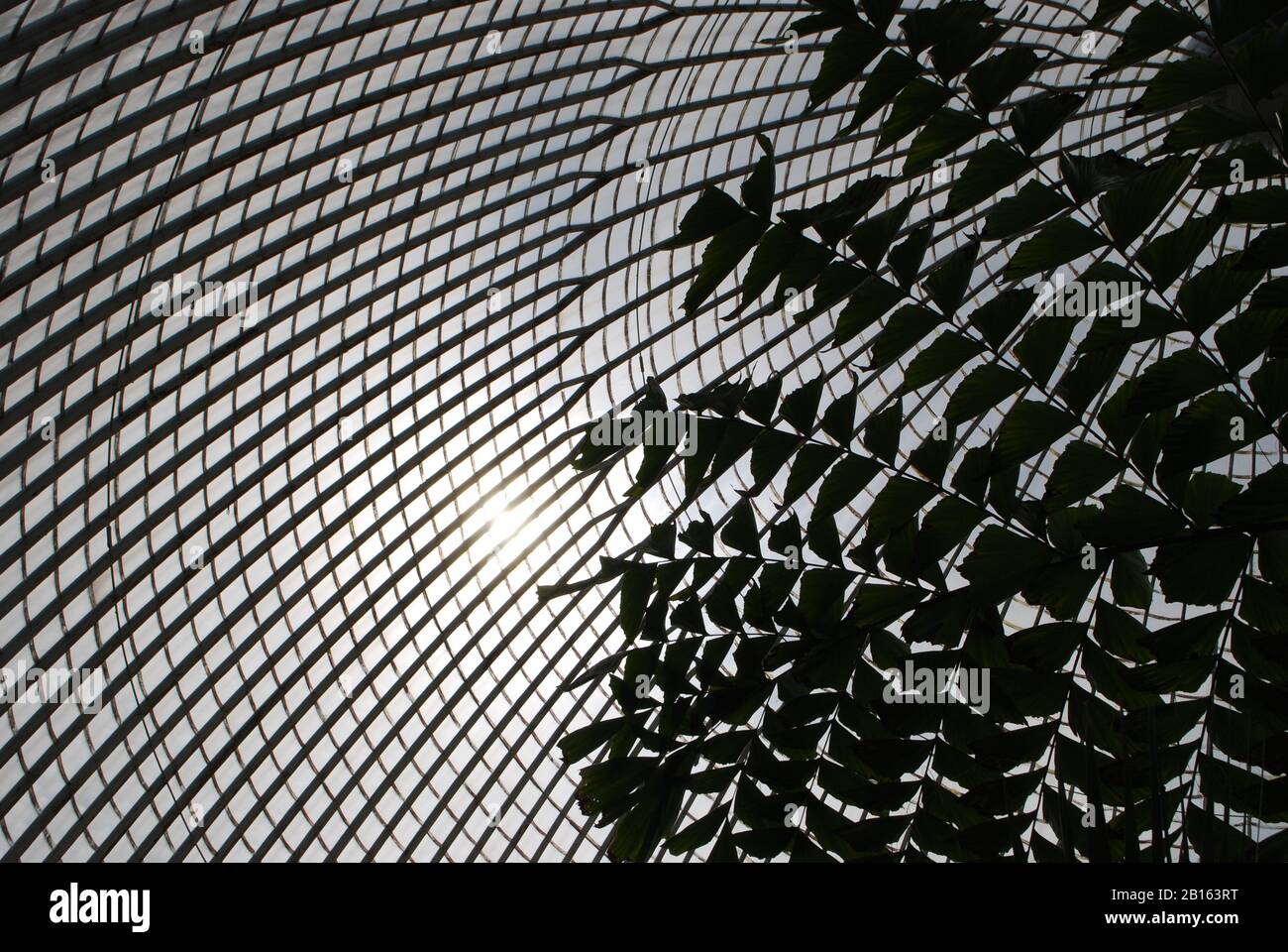 Botanical Greenhouse Silhouette Stock Photo