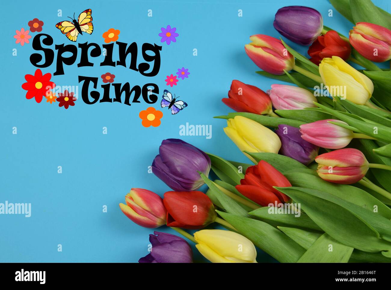 Spring Time Text Image springtime - text on colored background Stock Photo - Alamy