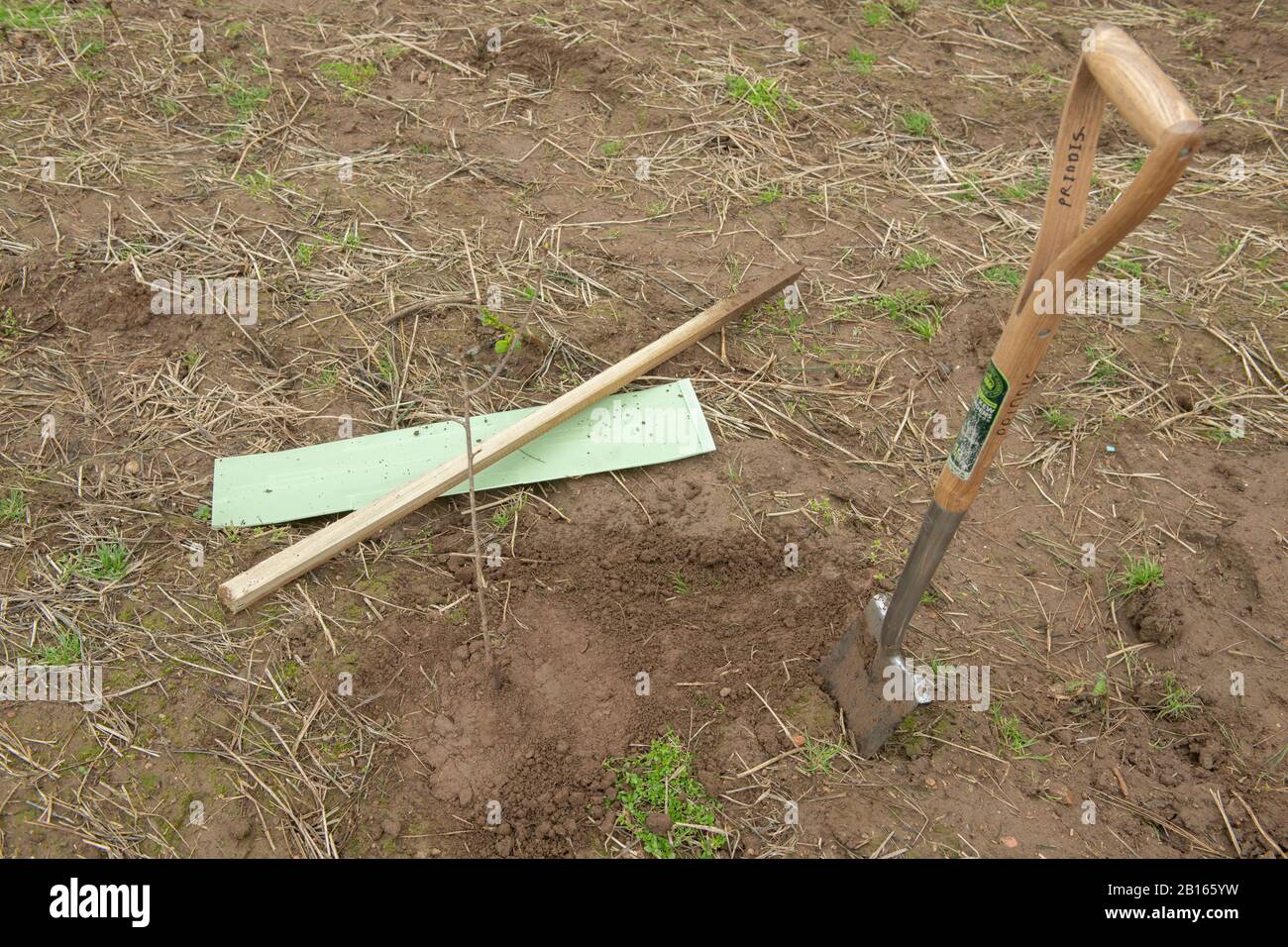 st john jersey channel islands