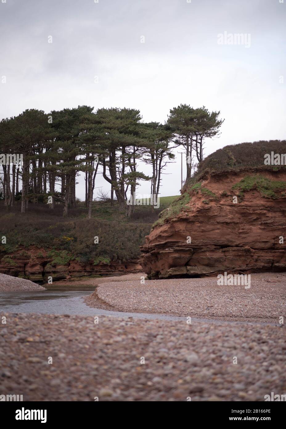 Trees and Cliff line at mouth of River Otter at Budleigh Salterton in East Devon, England, UK - Cloudy Winter Day Stock Photo