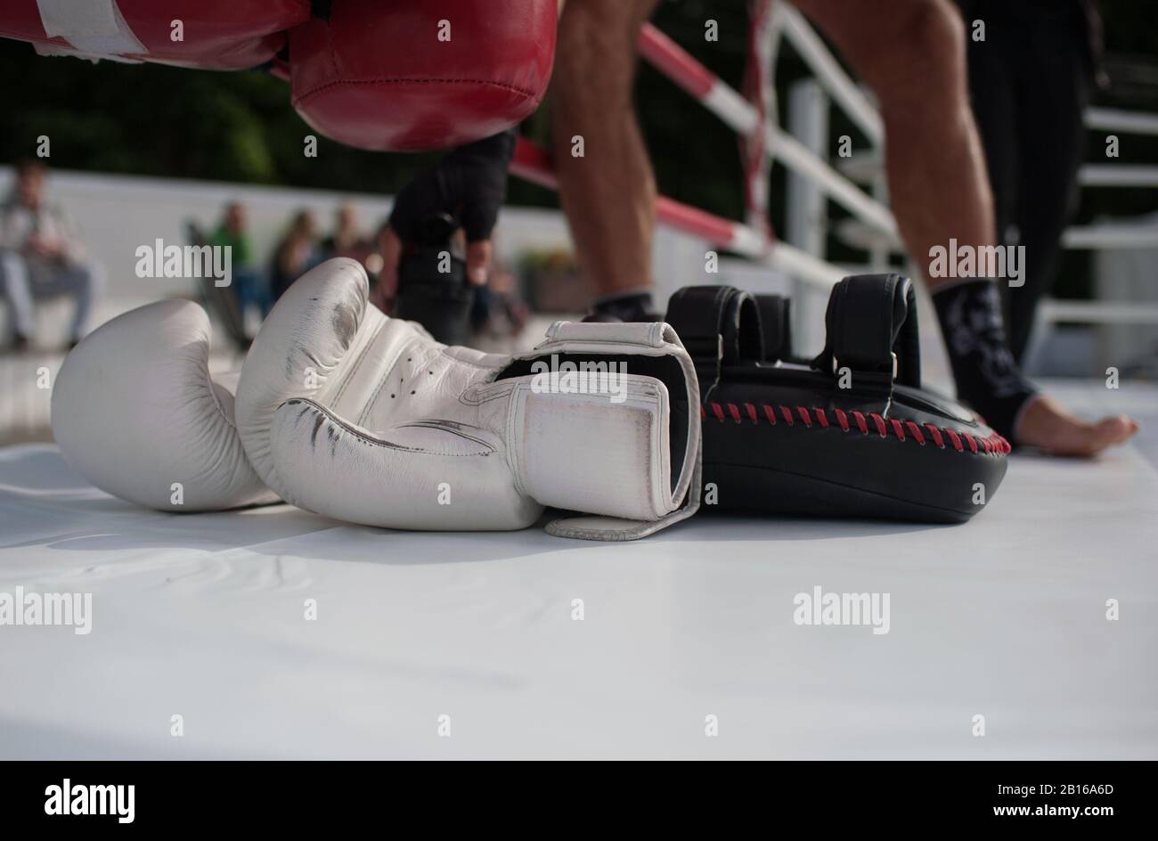White boxing gloves on the ring flooring Stock Photo Alamy