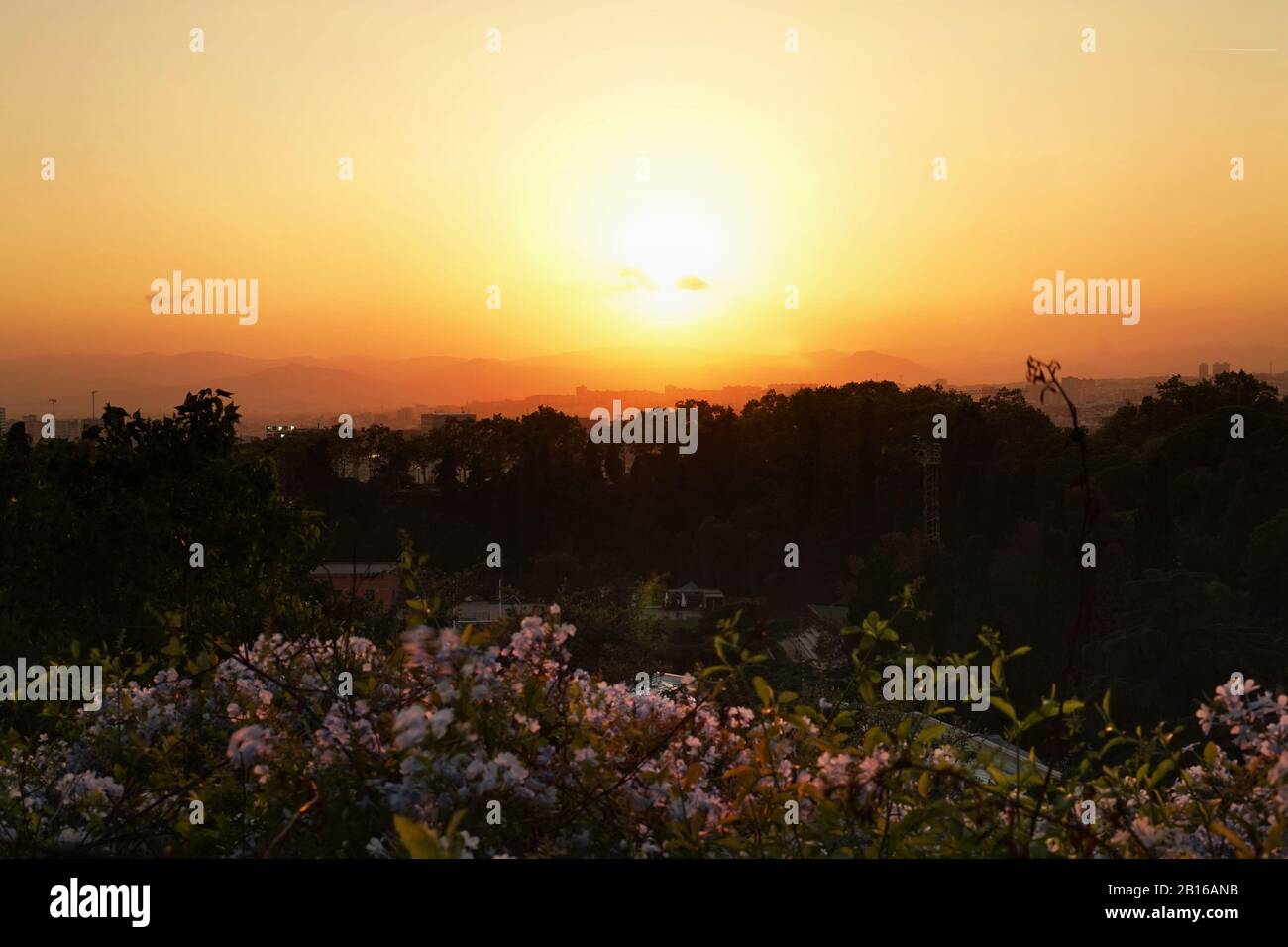 A hazy orange sunset hiding the hills in the distance with small violet flowers in the foreground Stock Photo