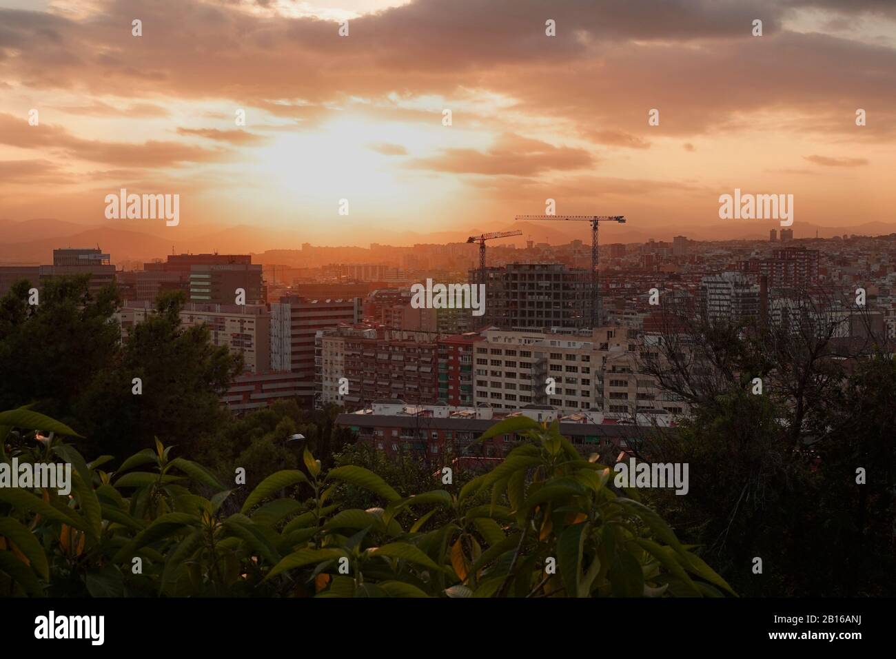 Sunset over Barcelona city outskirts with cranes and high rises making the skyline with greenery in the foreground Stock Photo