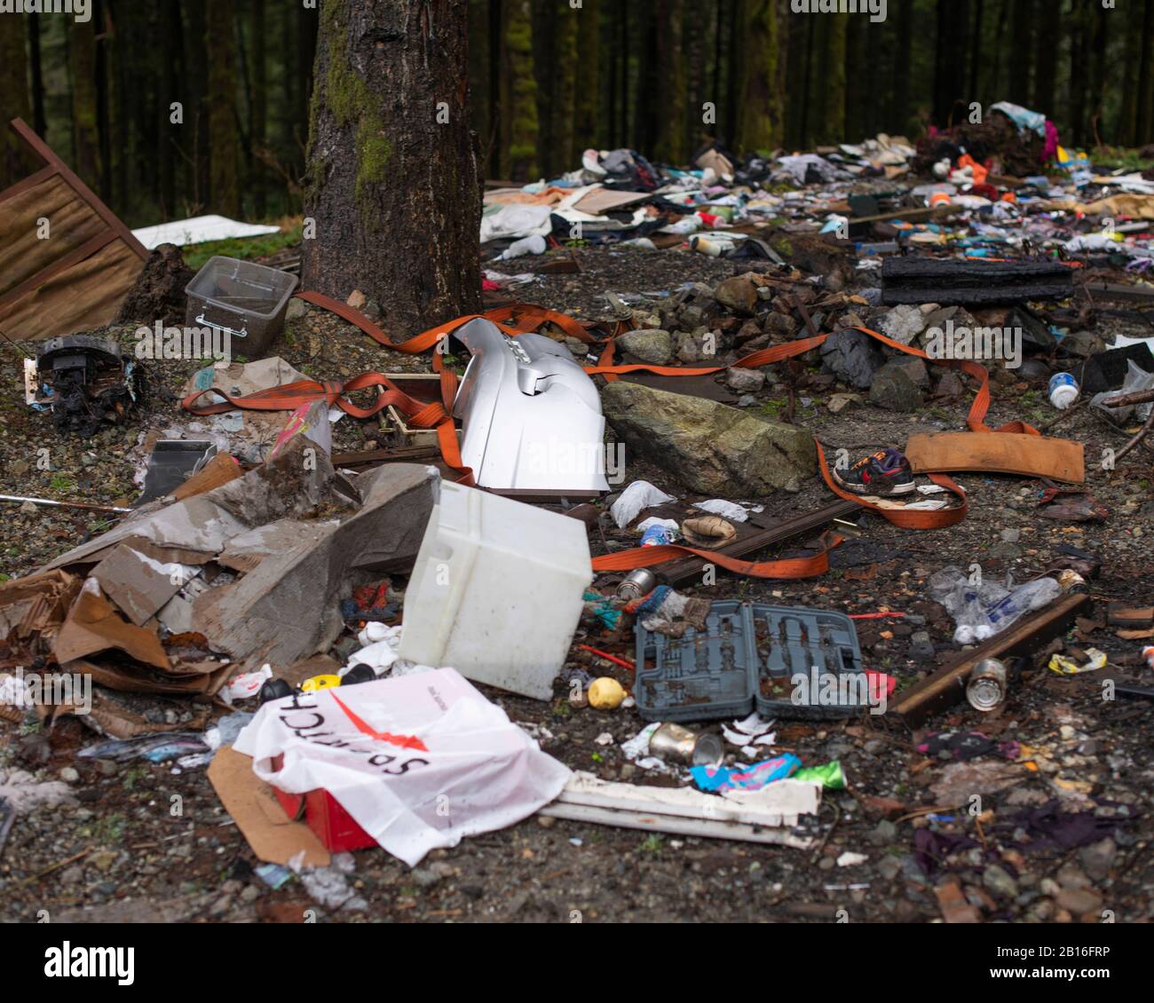 Examples of how some of our parks are used as dumping grounds at Davis Lake Provincial Park in Mission, British Columbia, Canada Stock Photo