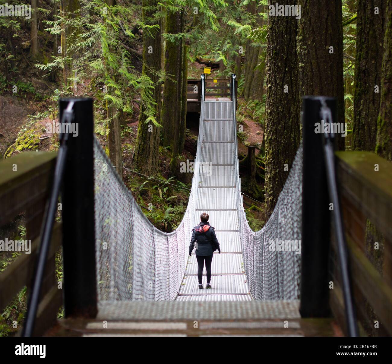 Walking the suspension bridge, Cascade Falls Regional Park in Mission, British Columbia, Canada Stock Photo