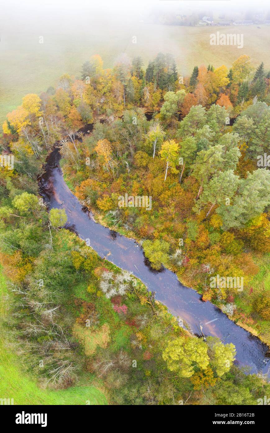 Forest in autumn colors. Colored trees and a meandering blue river. Red, yellow, orange, green deciduous trees in fall. Peetri river, Estonia, Europe Stock Photo