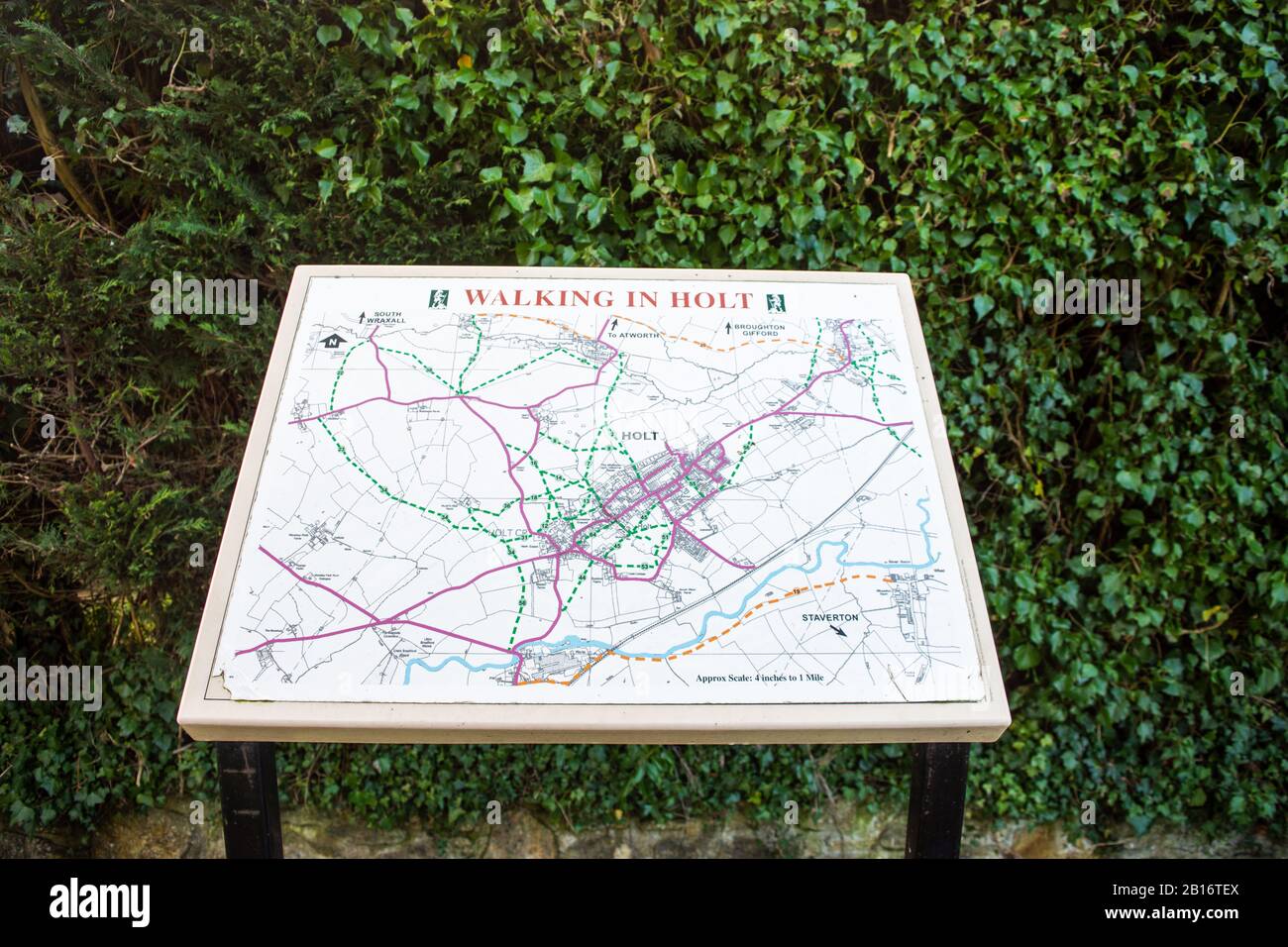 An information board showing a detailed map of the area titled 'Walking in Holt' showing walks through and around the village of Holt in Wiltshire Stock Photo