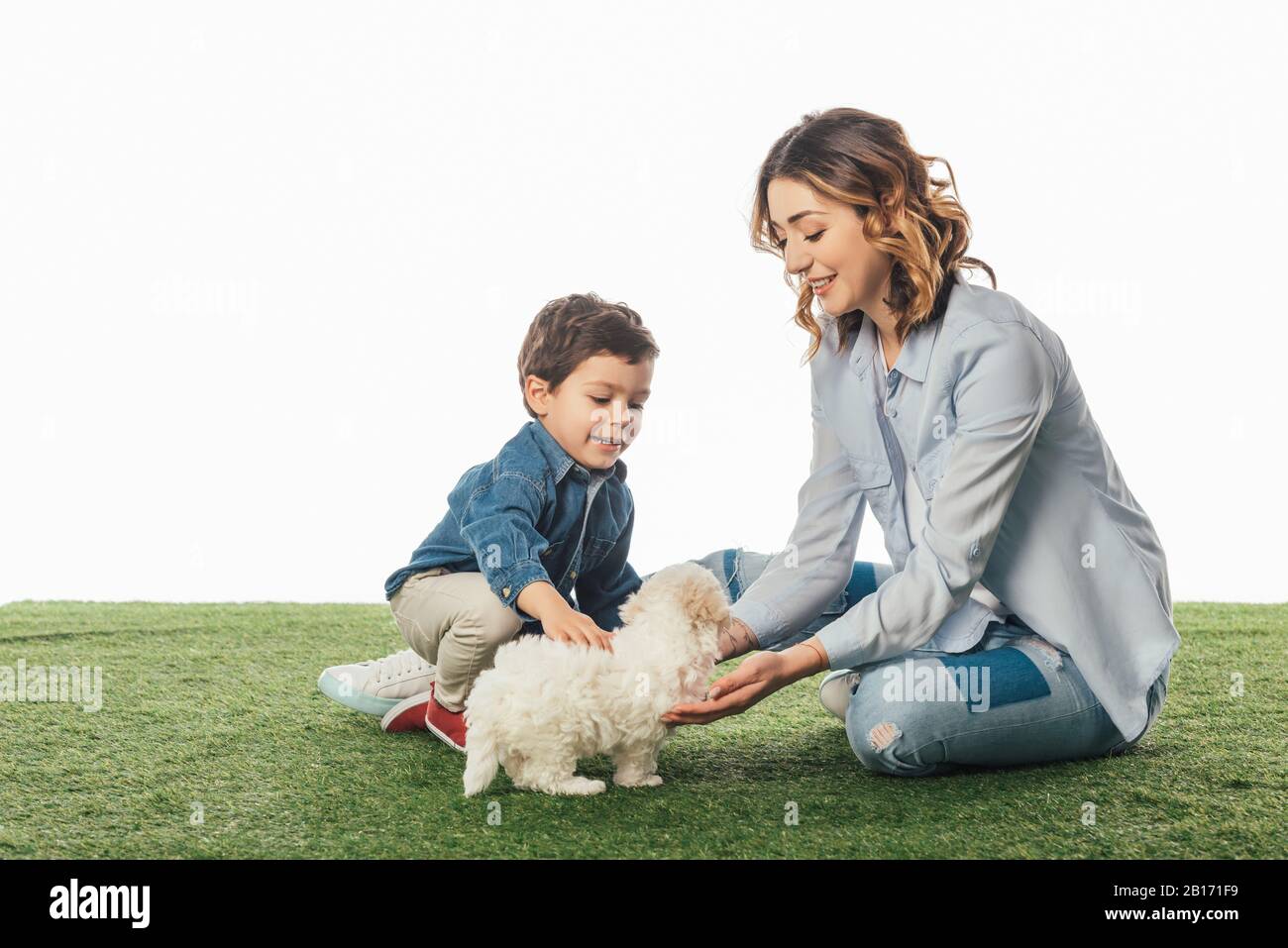 Smiling Mother And Son Stroking Havanese Puppy Isolated On White