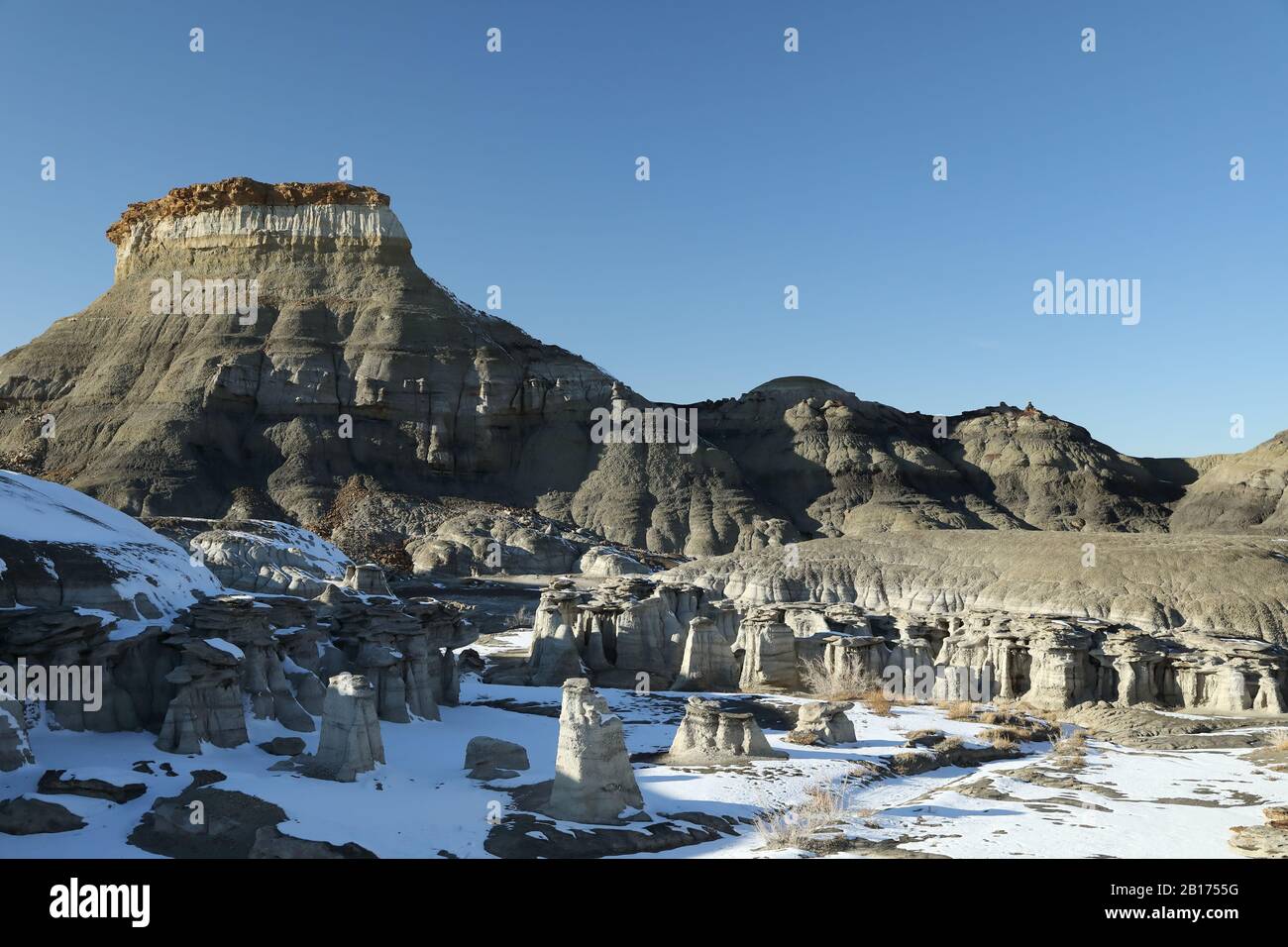 Bisti badlands, Denazin wilderness area, New Mexico Stock Photo Alamy