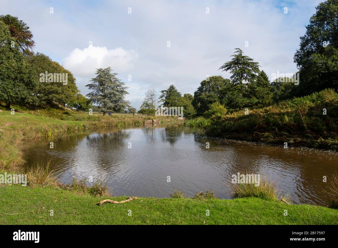 Lake at Bradgate Park, Charnwood Forest, Leicestershire, England, Stock Photo