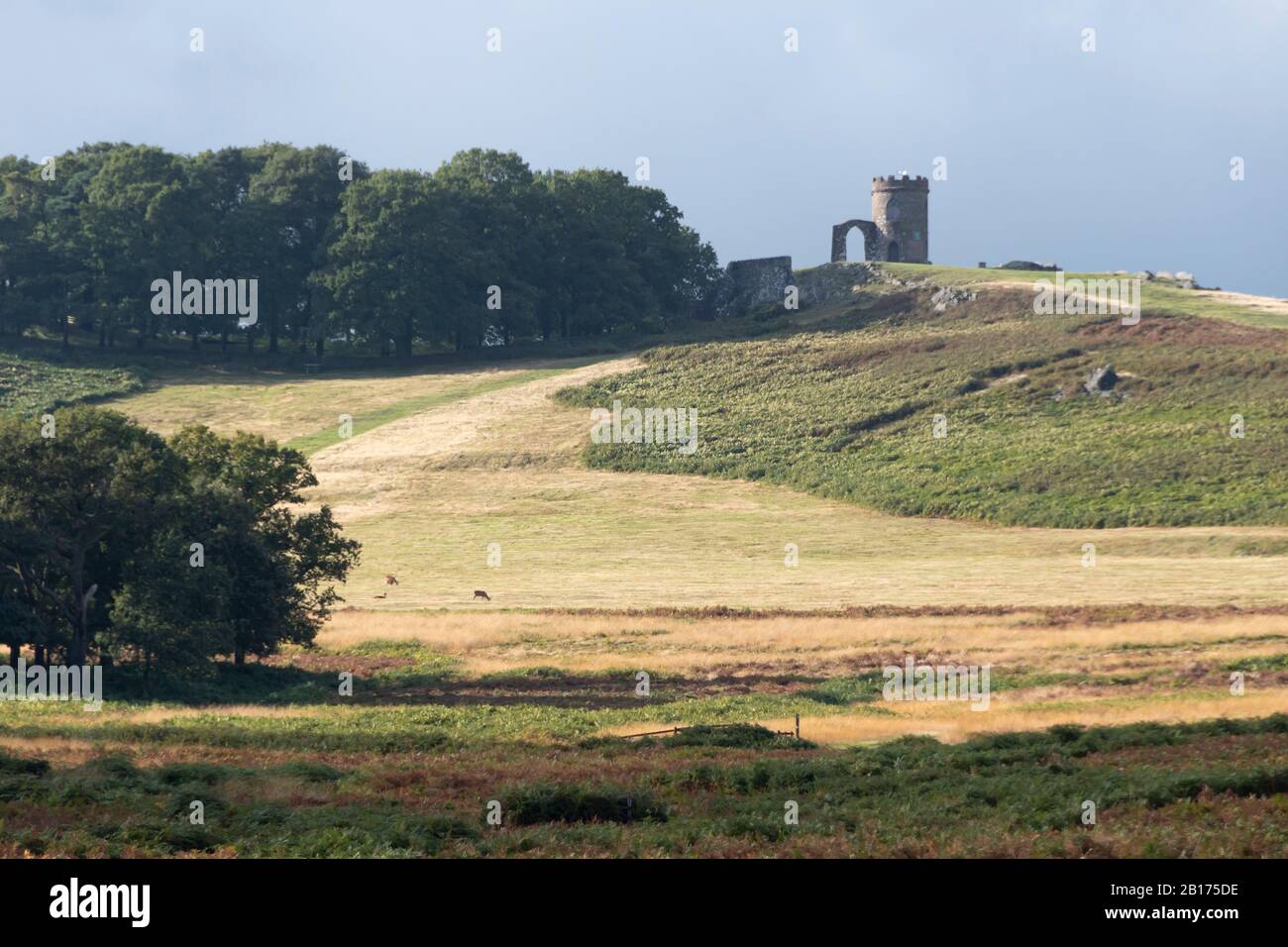 'Old John Tower'. A folly on a hilltop at Bradgate Park, Charnwood Forest, Leicestershire, England, Stock Photo