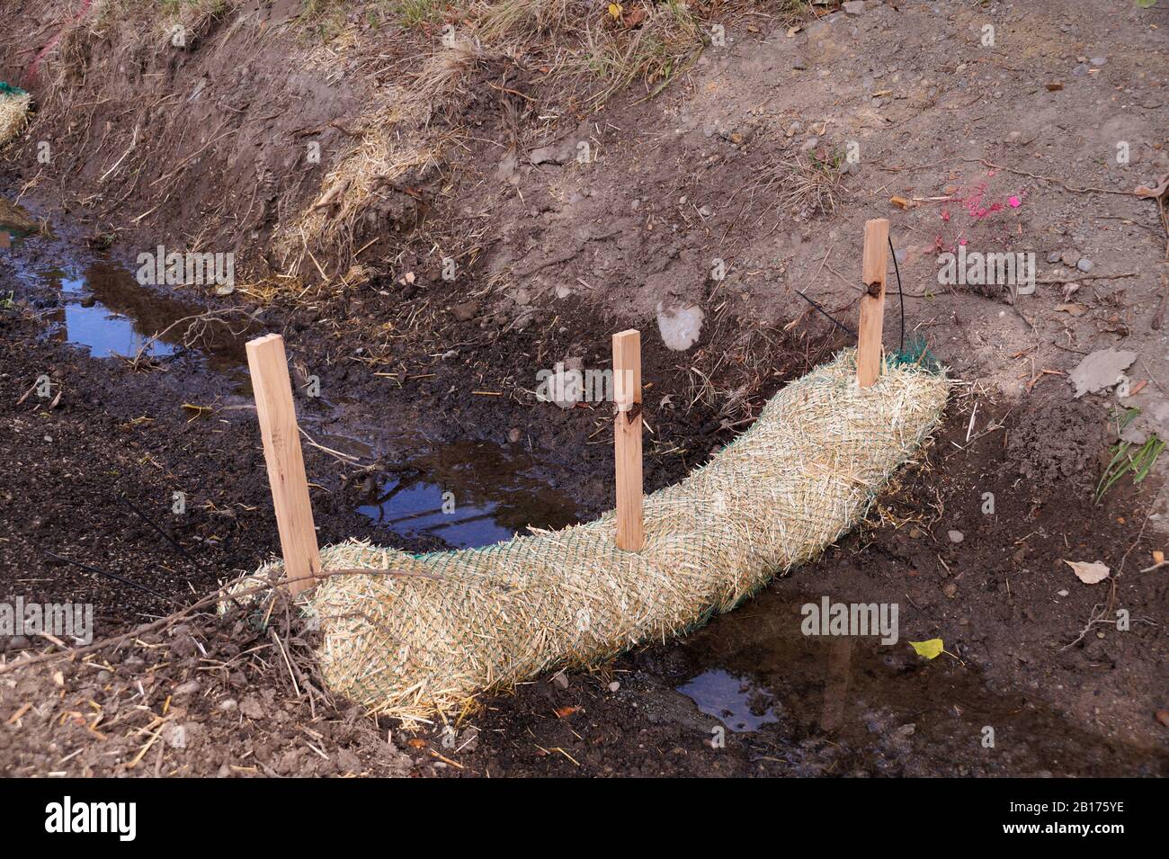 Land drainage works. The use of straw wattles (straw worms, bio-logs, straw noodles). Stock Photo