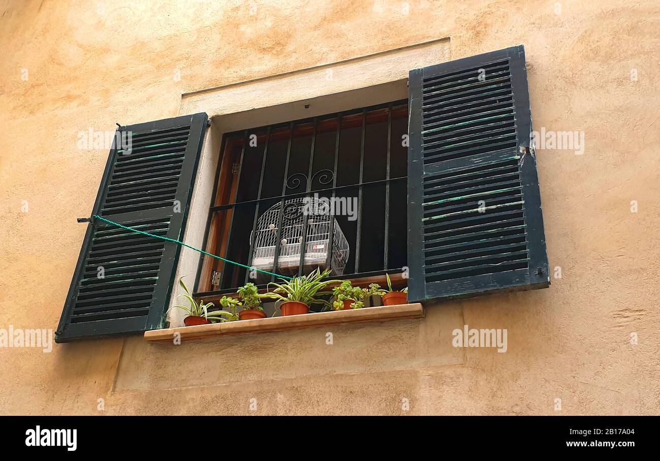 Island canary (Serinus canaria), bird cage on a window sill, Spain, Balearic Islands, Majorca, Alcudia Stock Photo