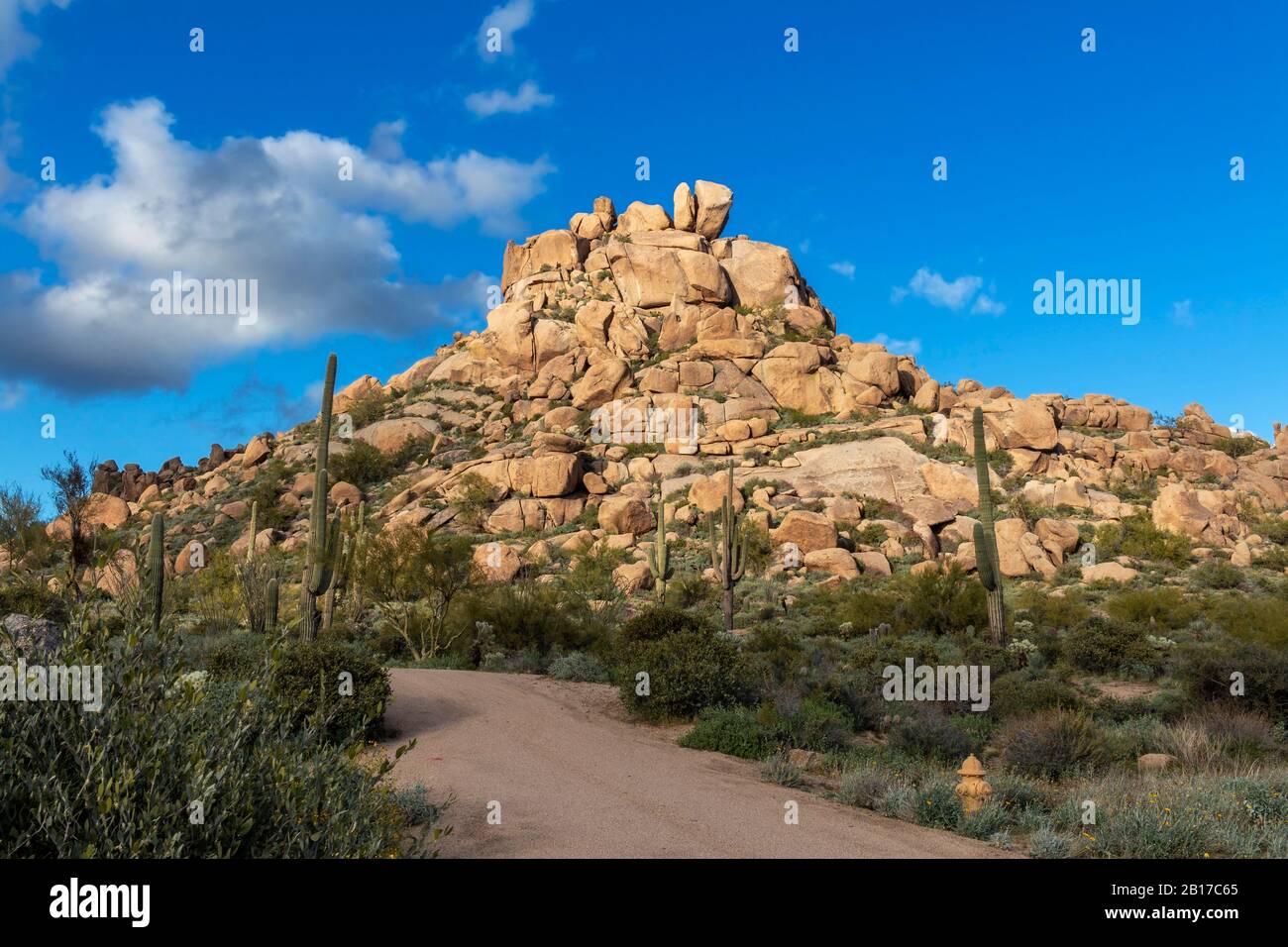 Desert Road leading to a private  home with anfd Near Rock Formation In North Scottsdale Stock Photo