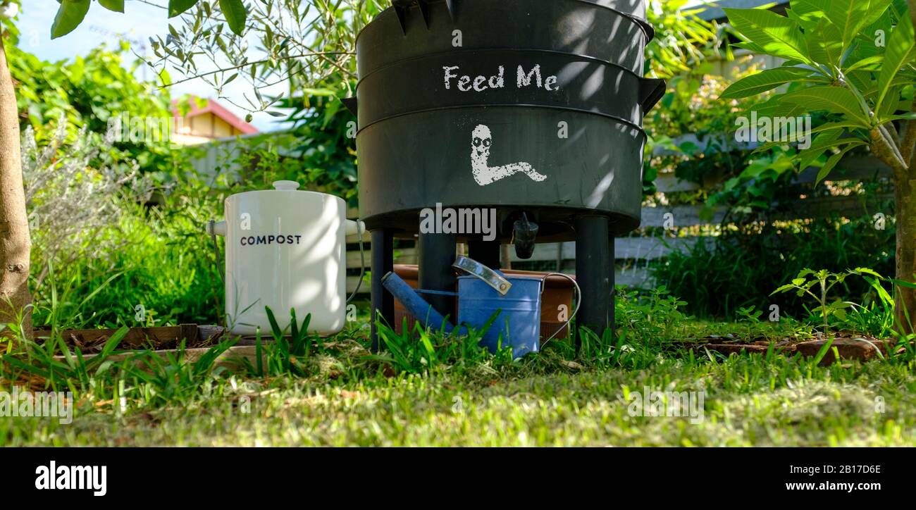 Worm farm compost bin in organic Australian garden with kitchen waste