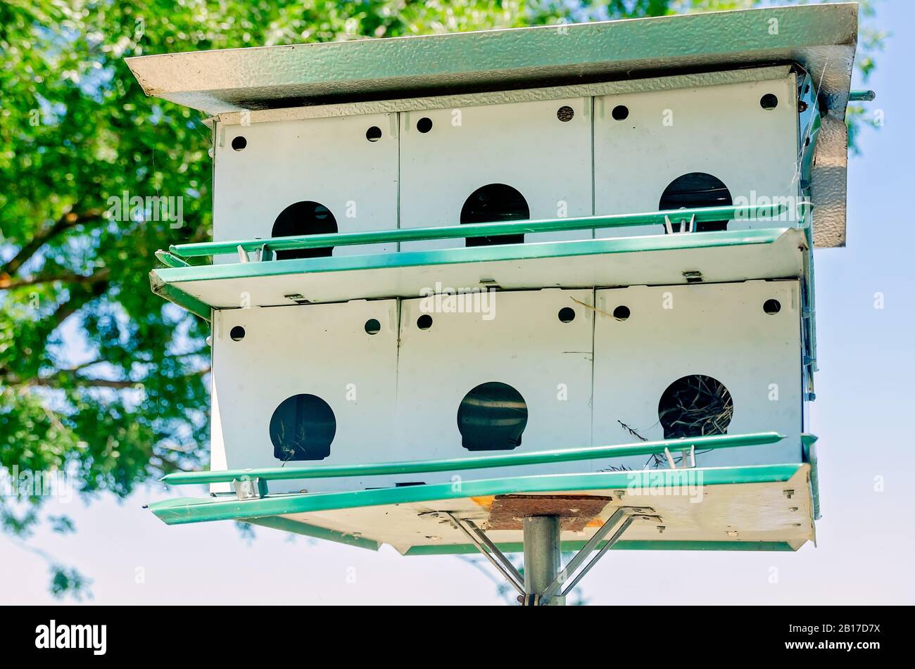 Purple martin birdhouse apartments are pictured with protruding nesting materials, July 26, 2019, in Vicksburg, Mississippi. Stock Photo
