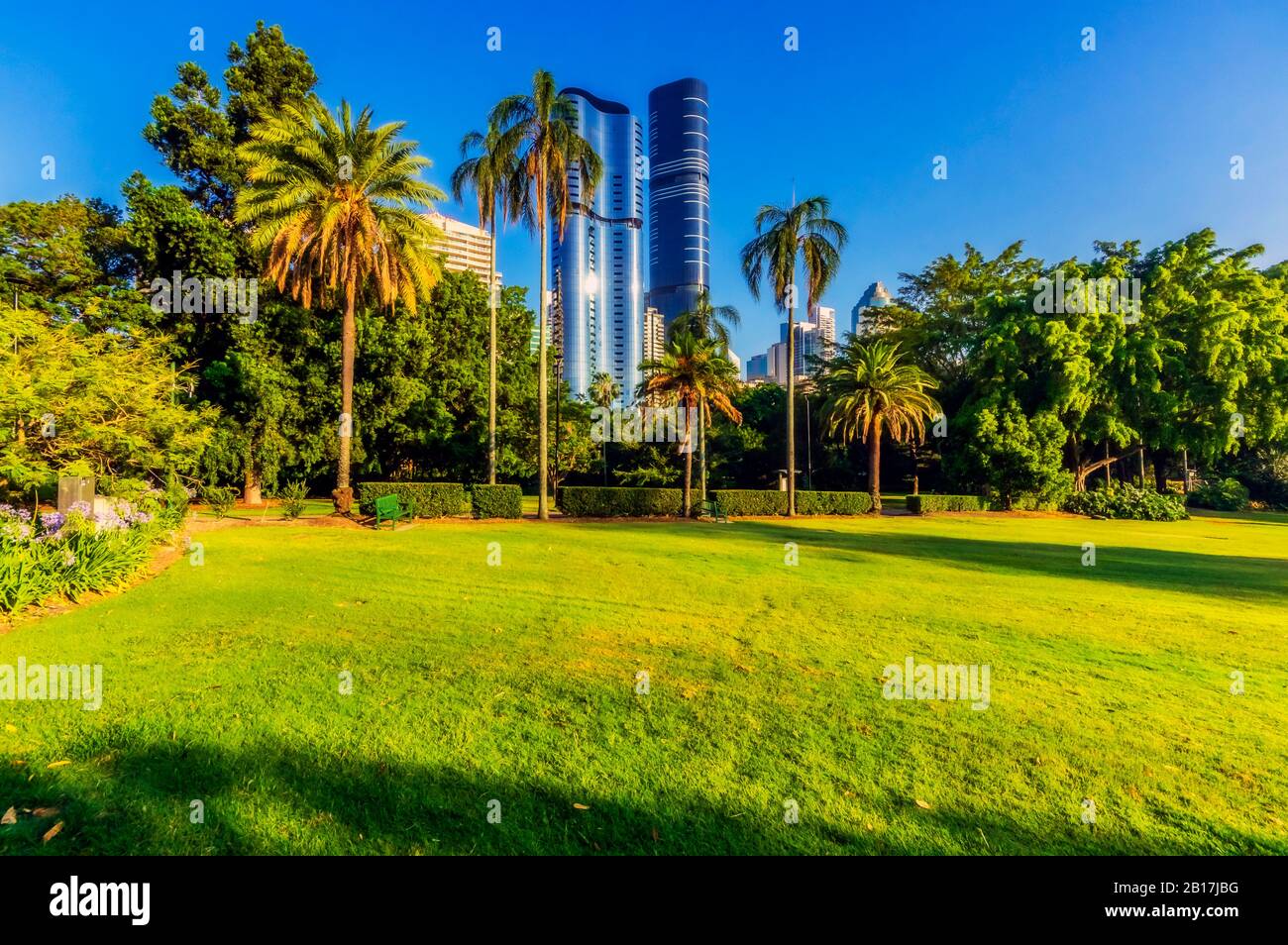 Australia, Brisbane, City Botanic Gardens and skyscrapers Stock Photo Alamy