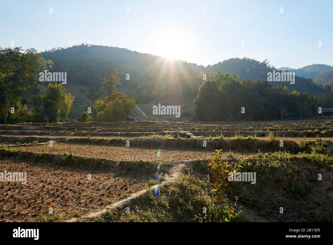 Pai, Thailand - February.05.2020: - Beautiful scenic view from Pai Bamboo Bridge Boon Ko Ku So in Pai, Mae Hong Son Province, Thailand. Stock Photo