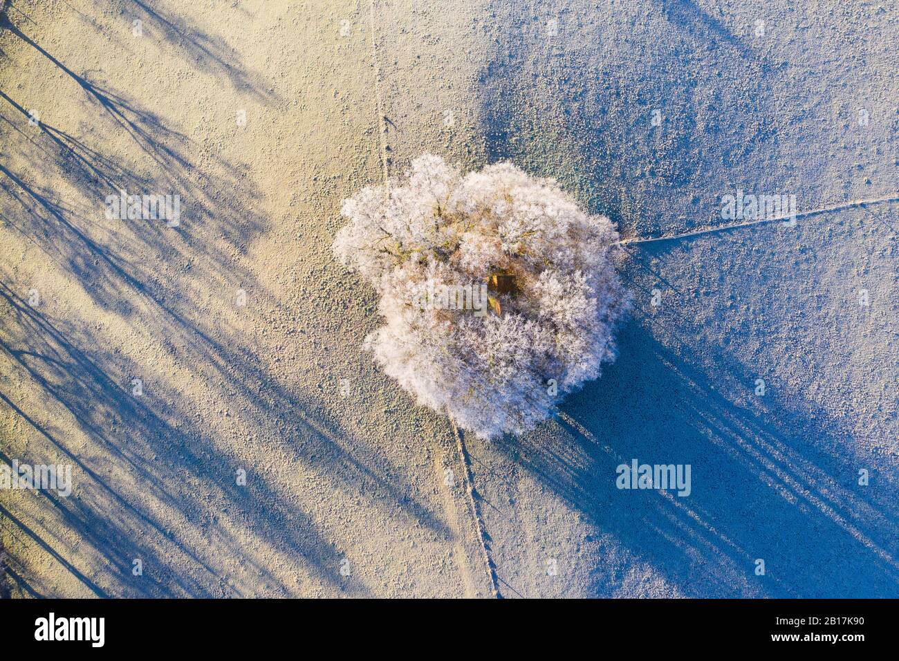 Baumgruppe mit Raureif, Schwaigwall, bei Geretsried, Drohnenaufnahme, Oberbayern, Bayern, Deutschland Stock Photo
