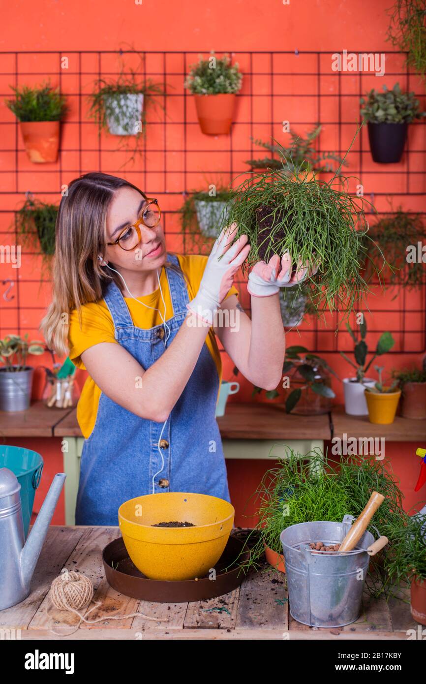 Woman examining Rhipsalis plant on her terrace Stock Photo